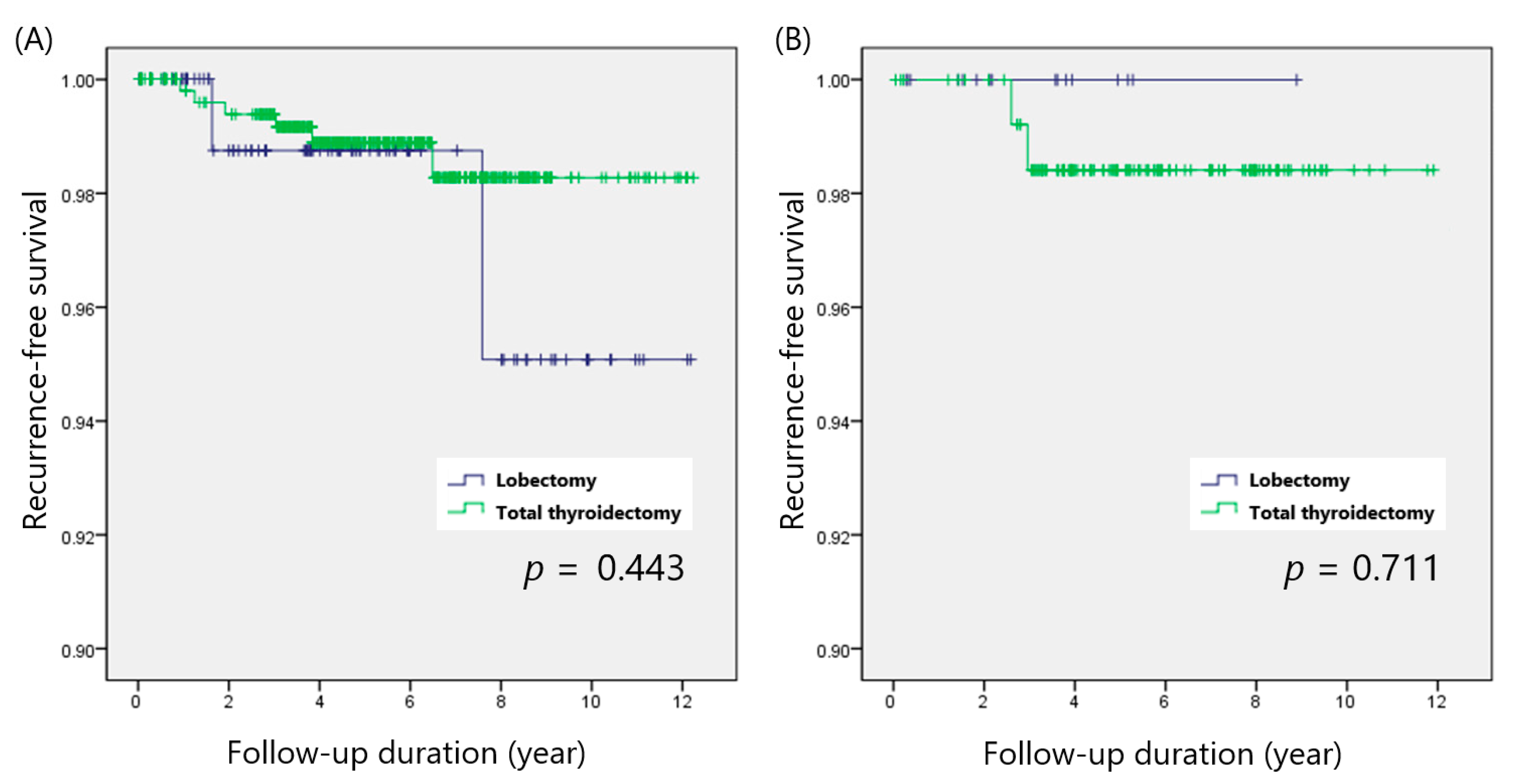 Cancers 14 00432 g002 550