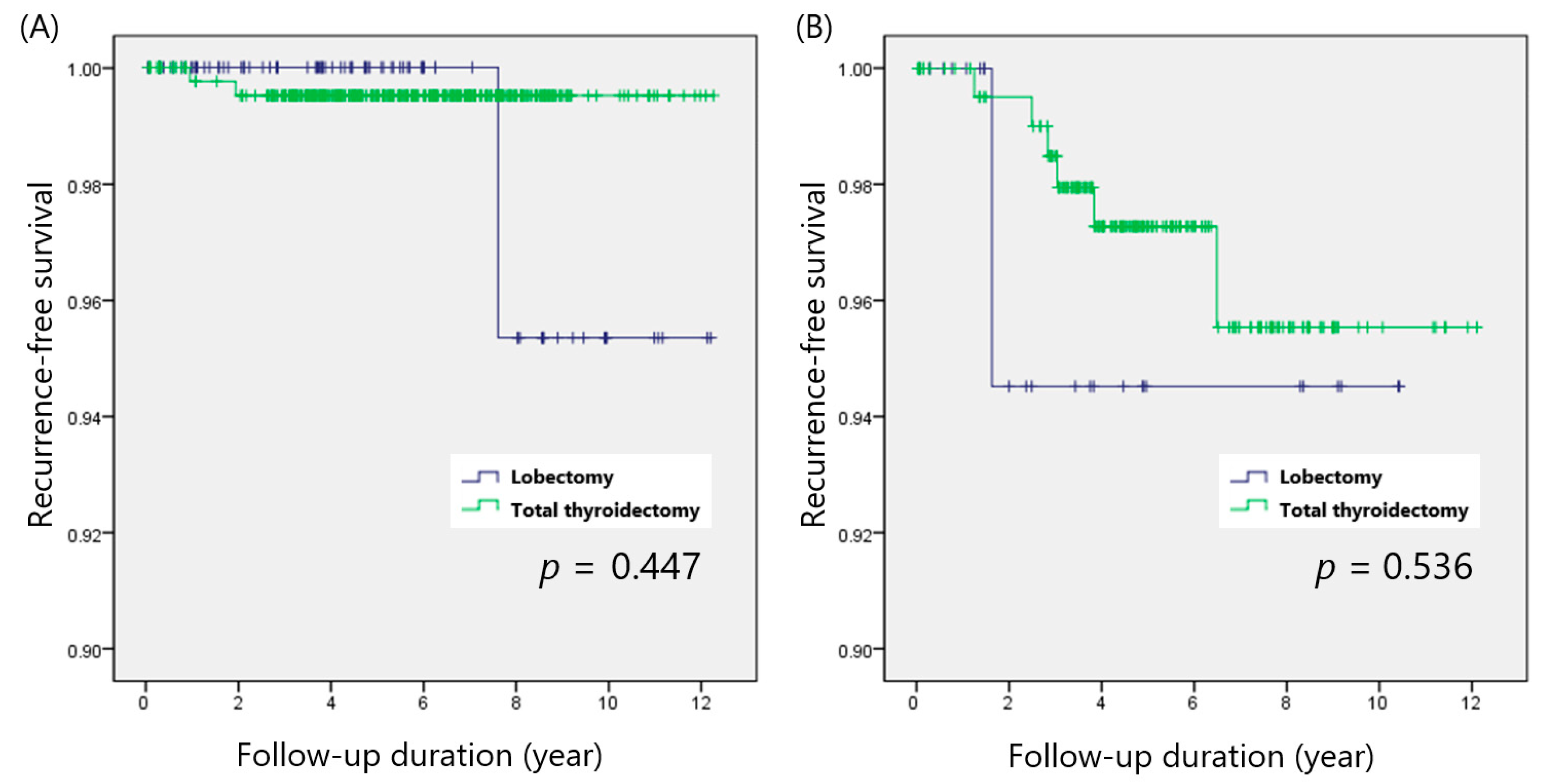 Cancers 14 00432 g003 550