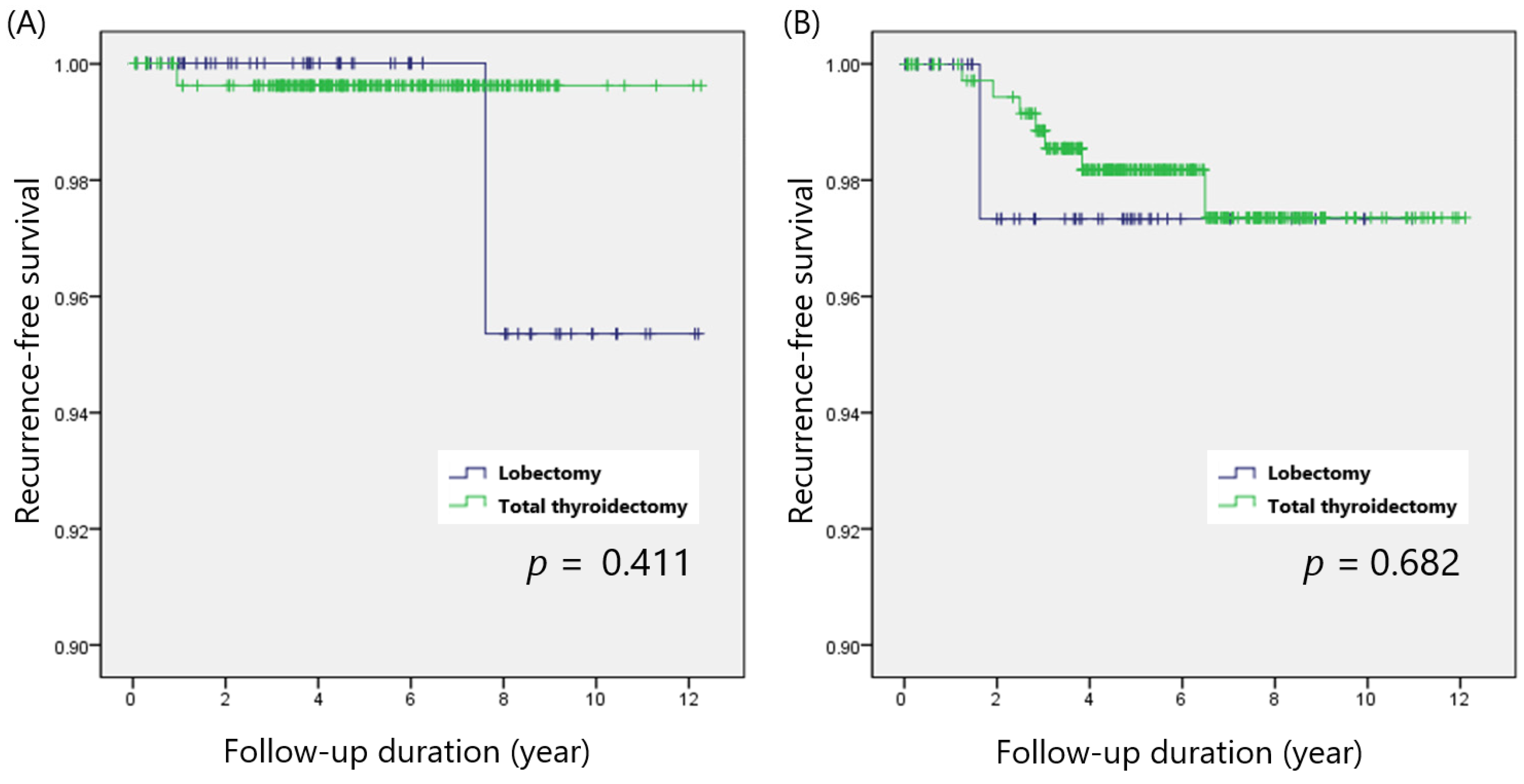 Cancers 14 00432 g004 550
