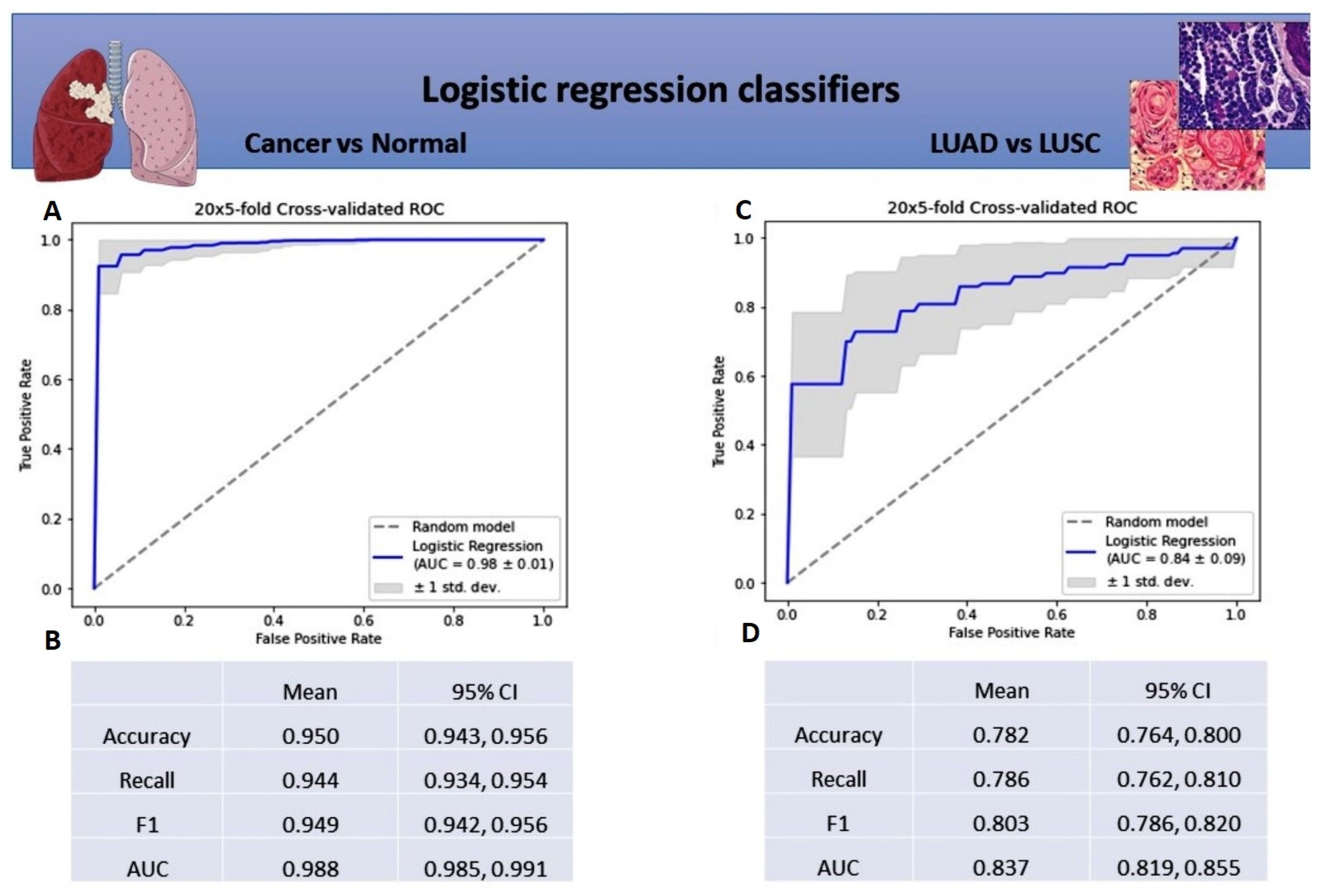 Cancers 14 00439 g002 Cancers 14 00439 g002