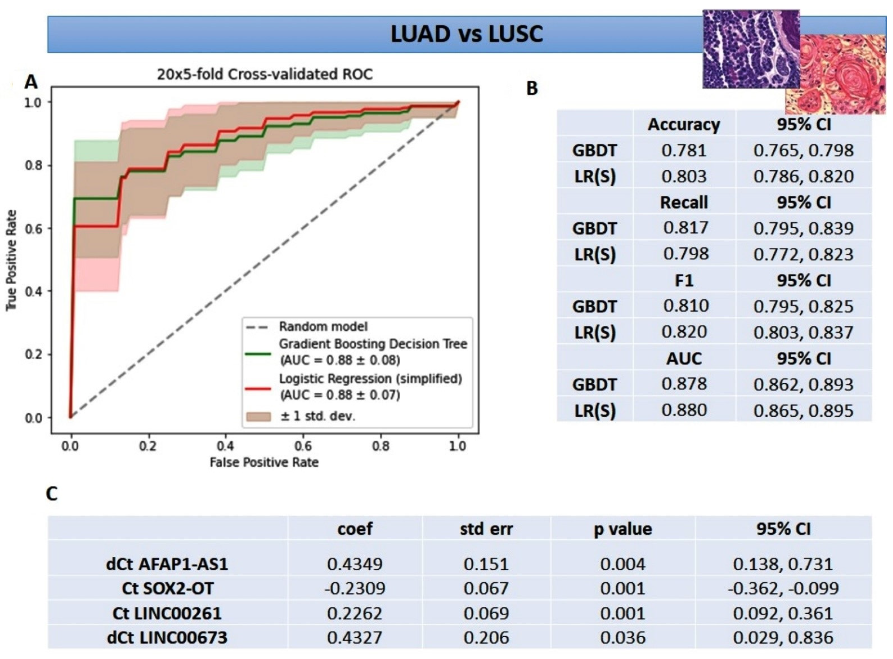 Cancers 14 00439 g003 Cancers 14 00439 g003