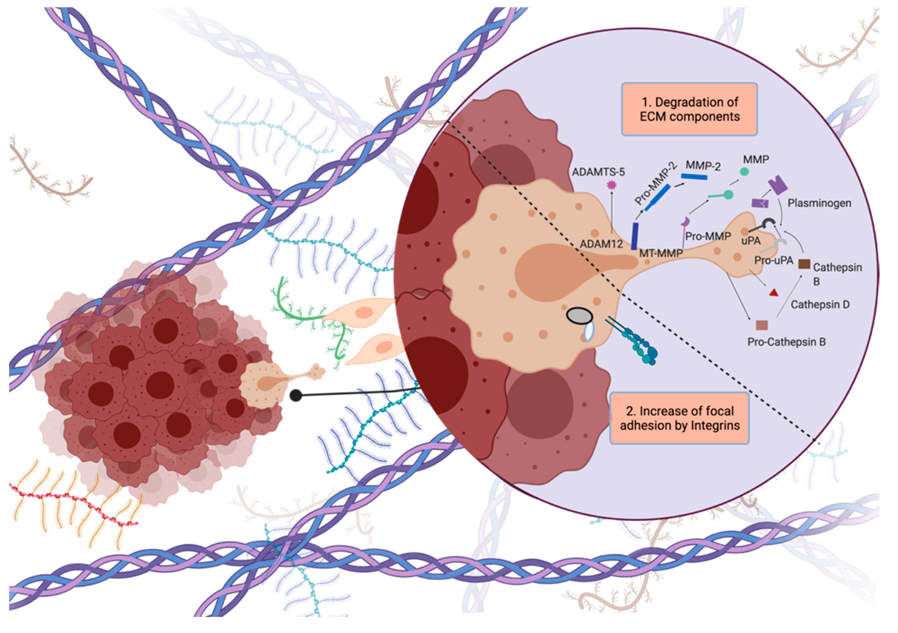 Cancers 14 00443 g003