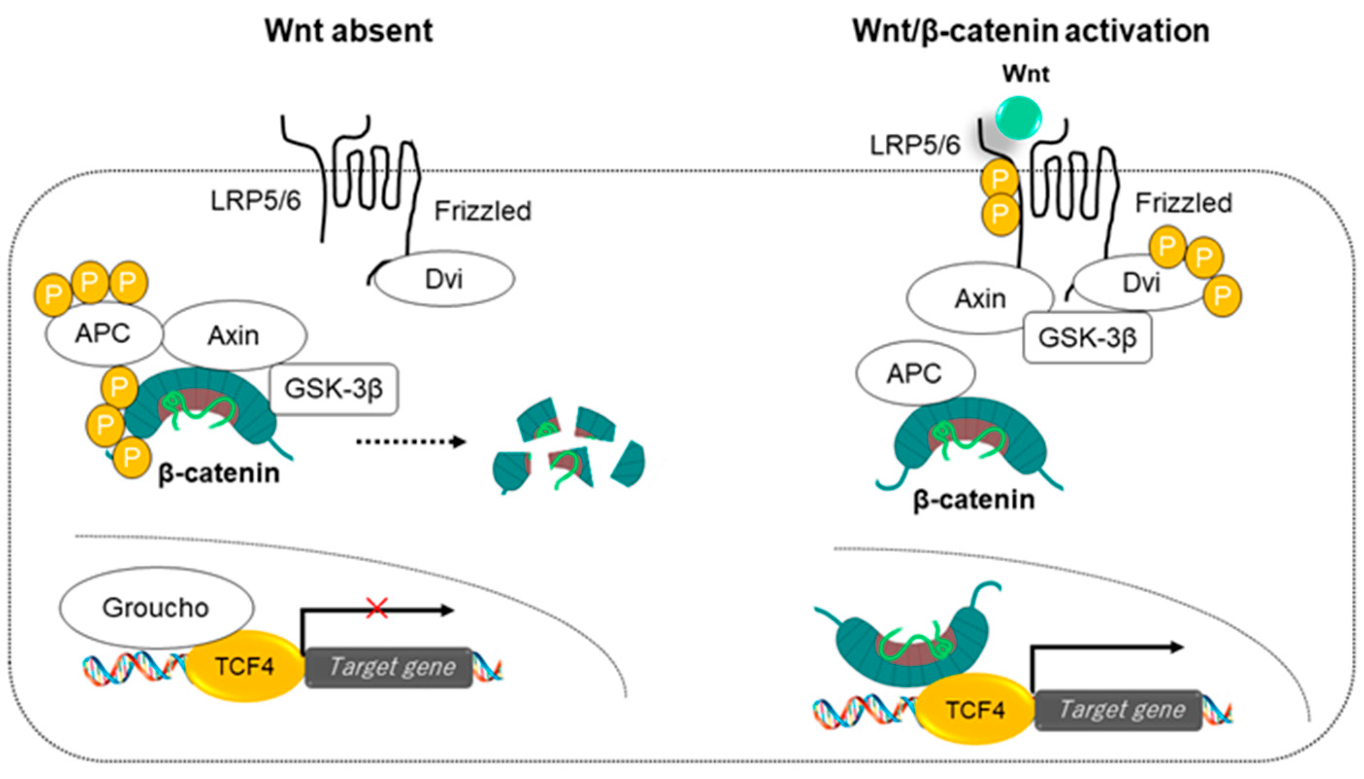 Cancers 14 00444 g002 550