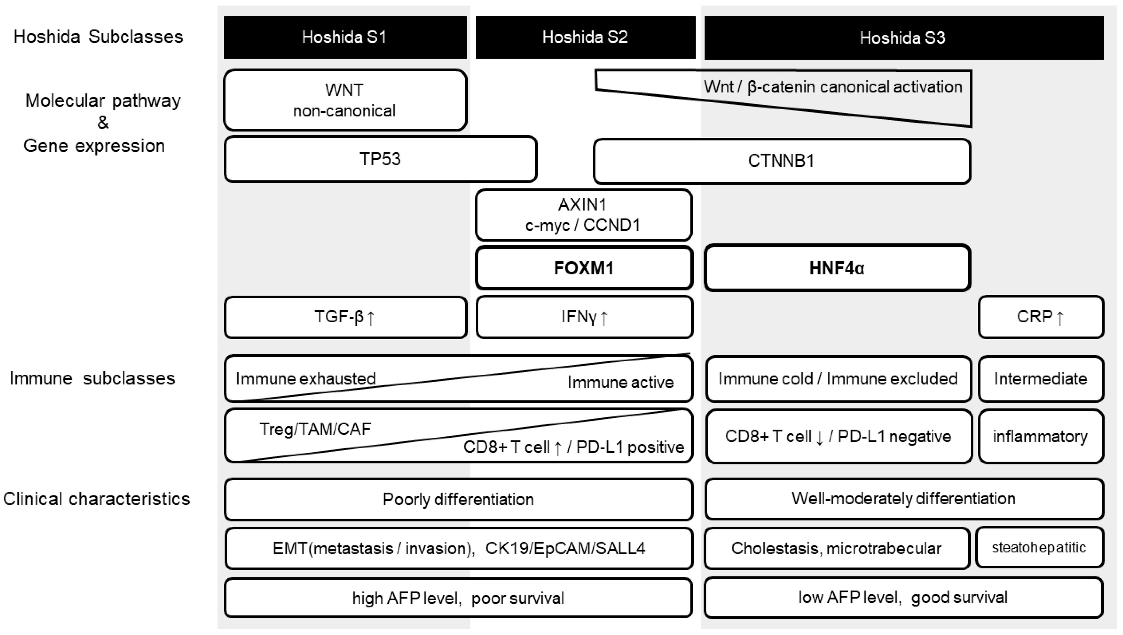 Cancers 14 00444 g005 550