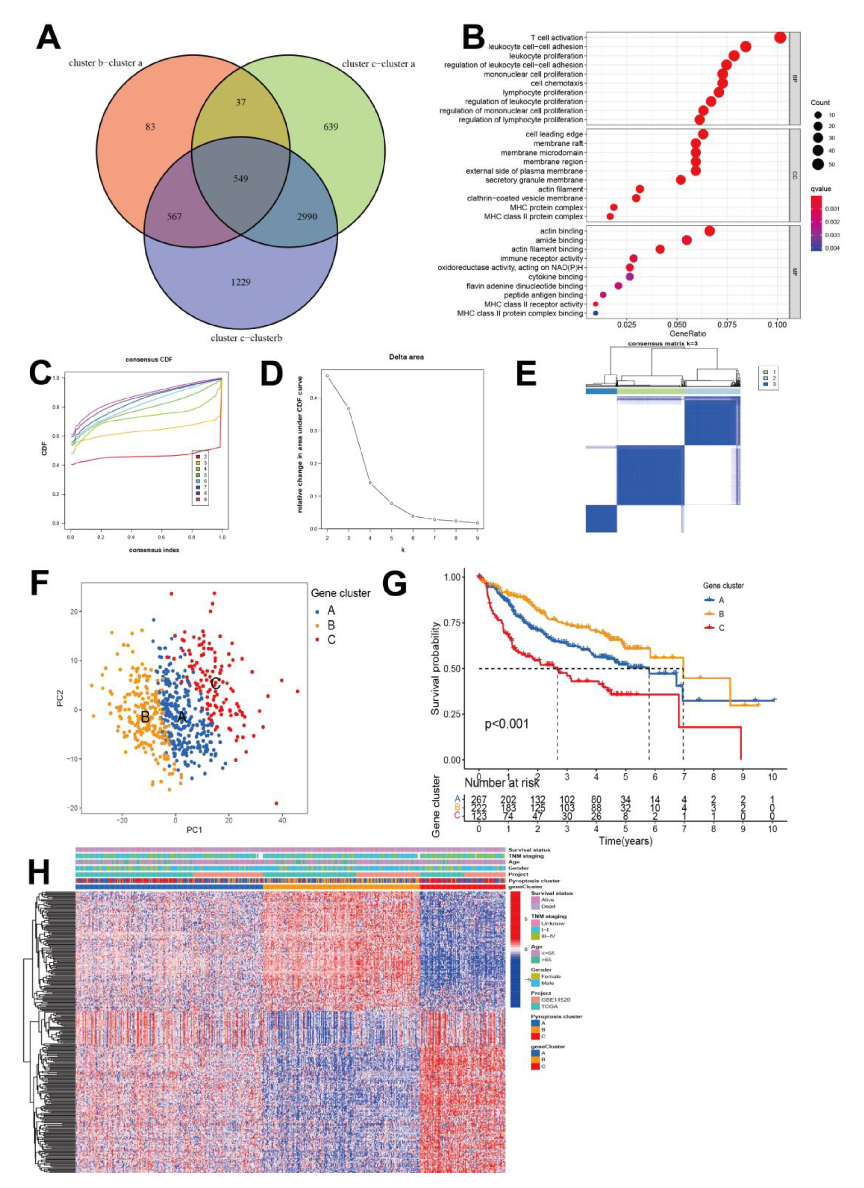 Cancers 14 00447 g003 550
