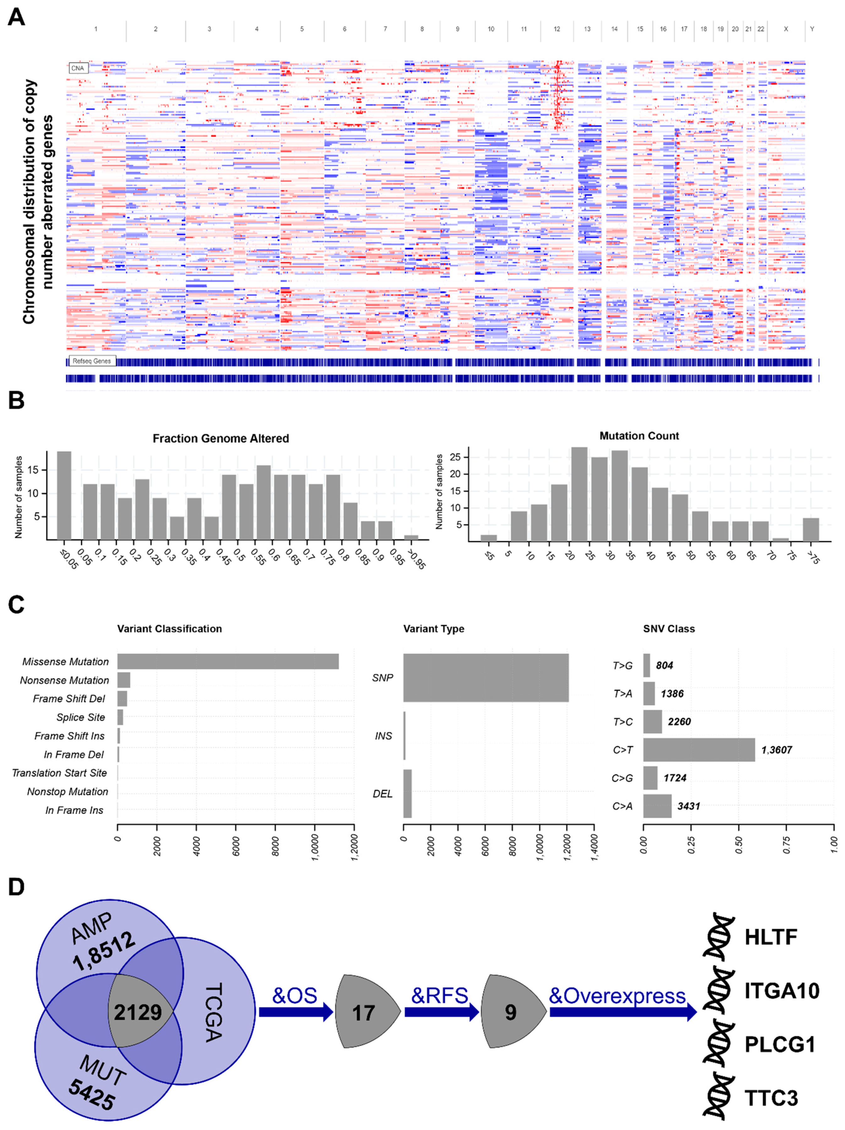 Cancers 14 00448 g001 Cancers 14 00448 g001