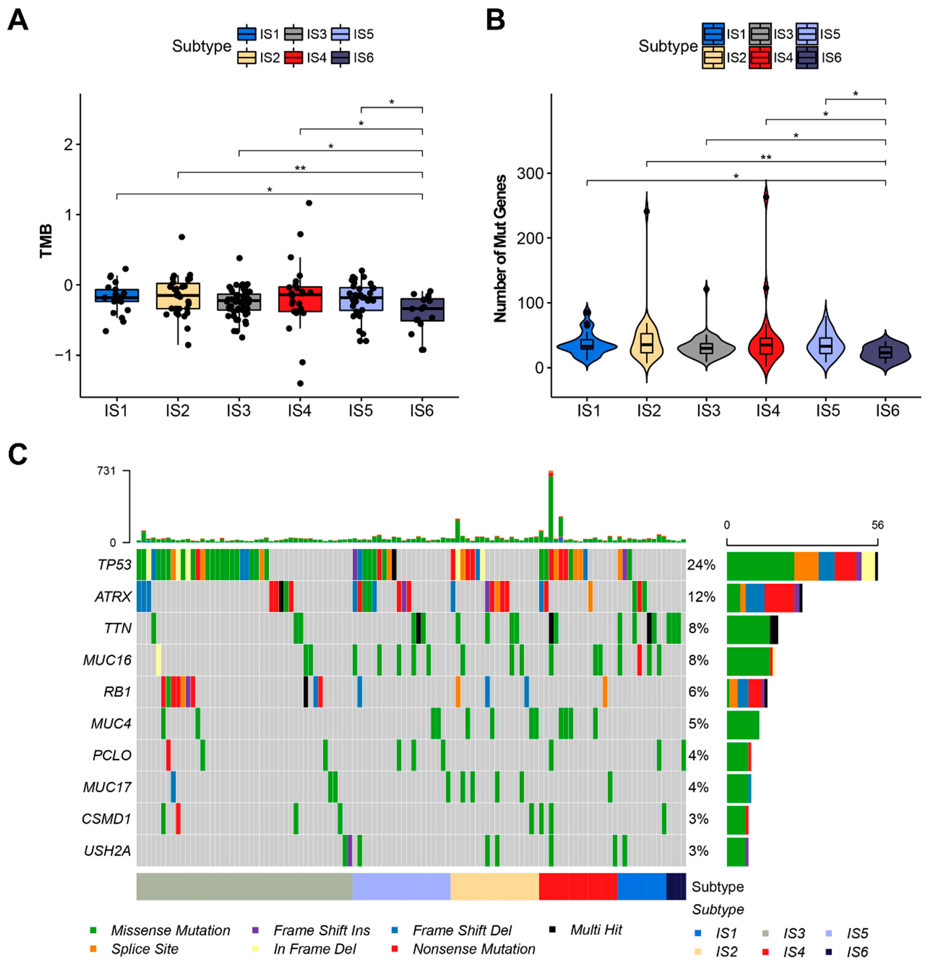 Cancers 14 00448 g004 Cancers 14 00448 g004