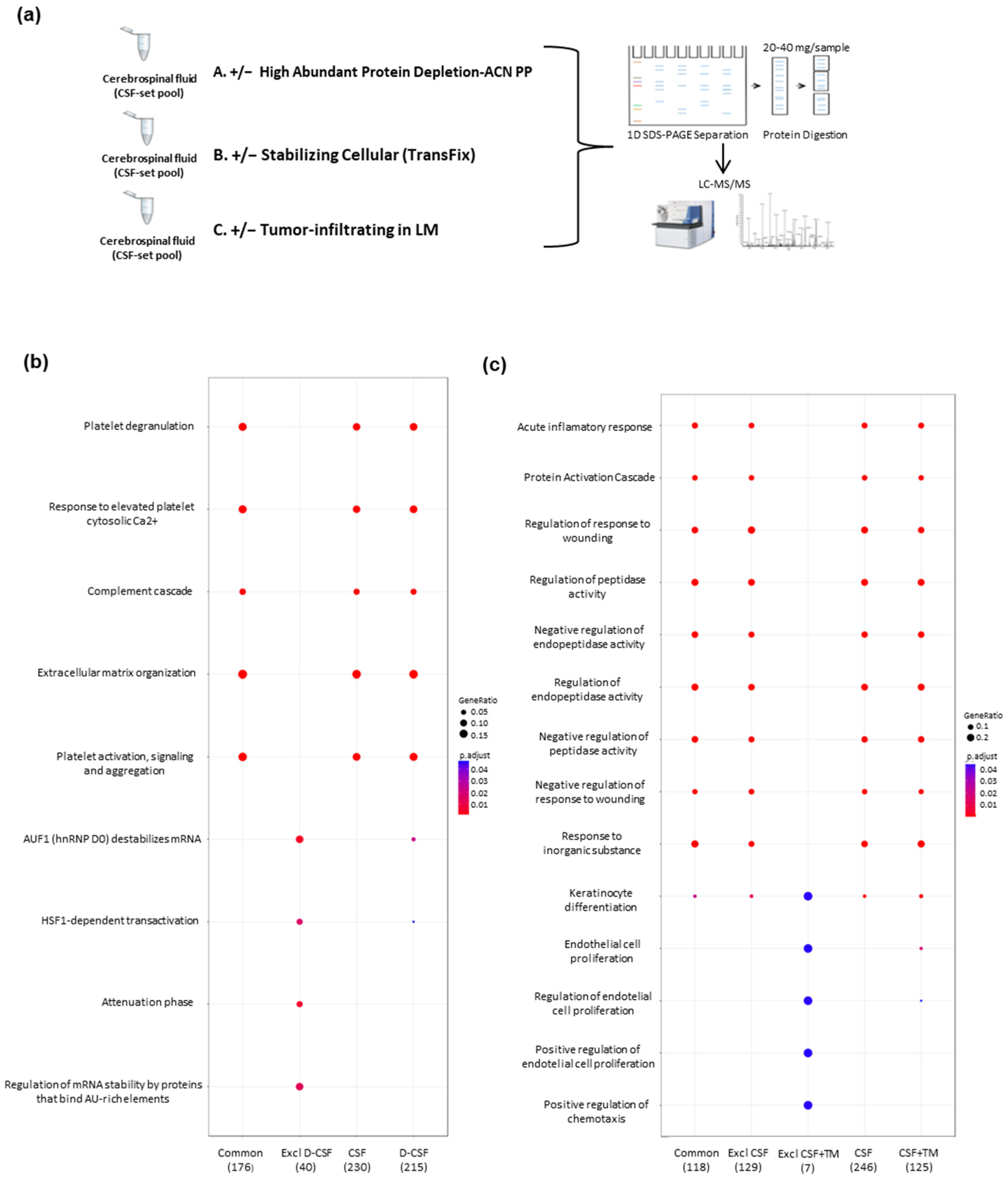 Cancers 14 00449 g001