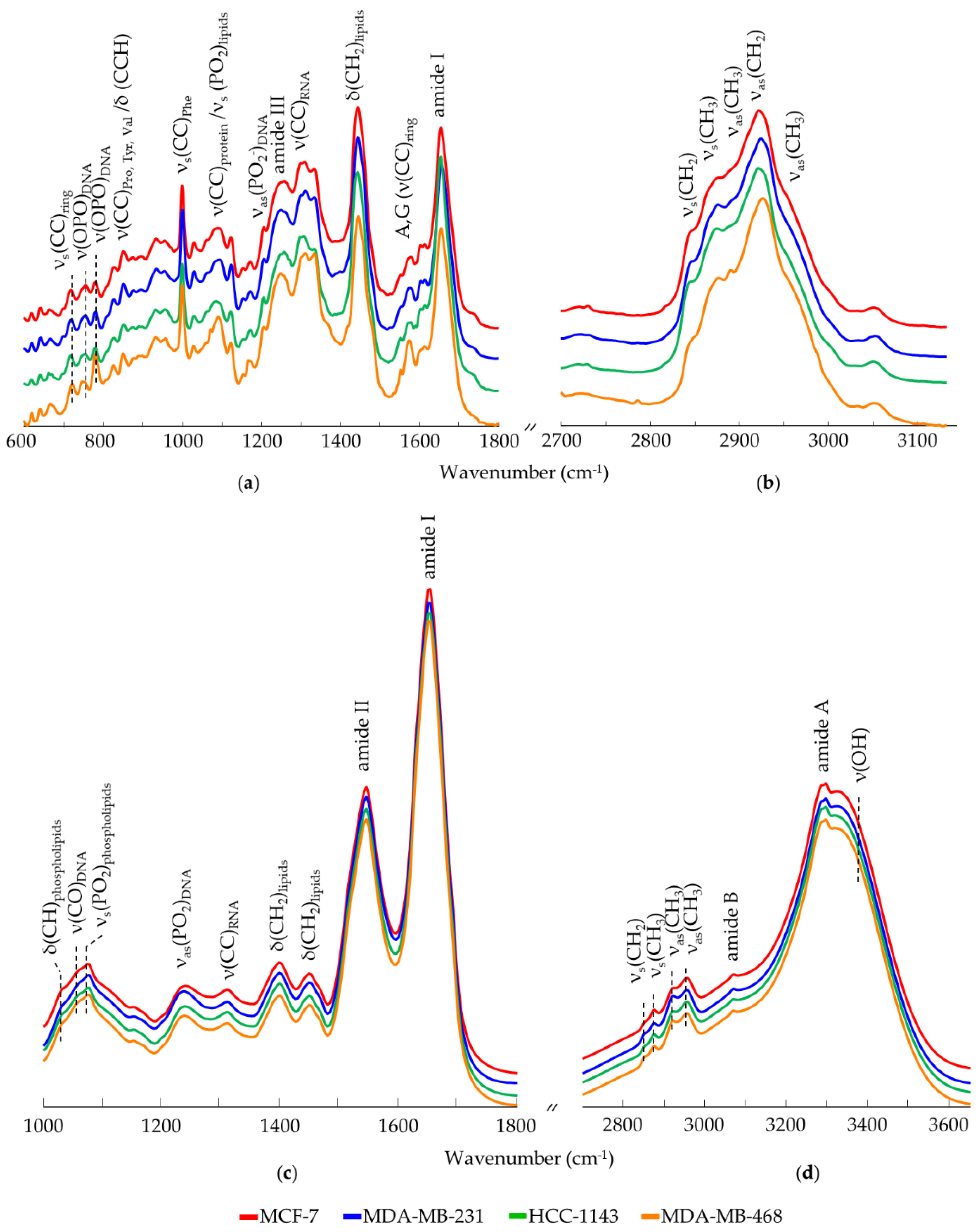 Cancers 14 00452 g001 Cancers 14 00452 g001