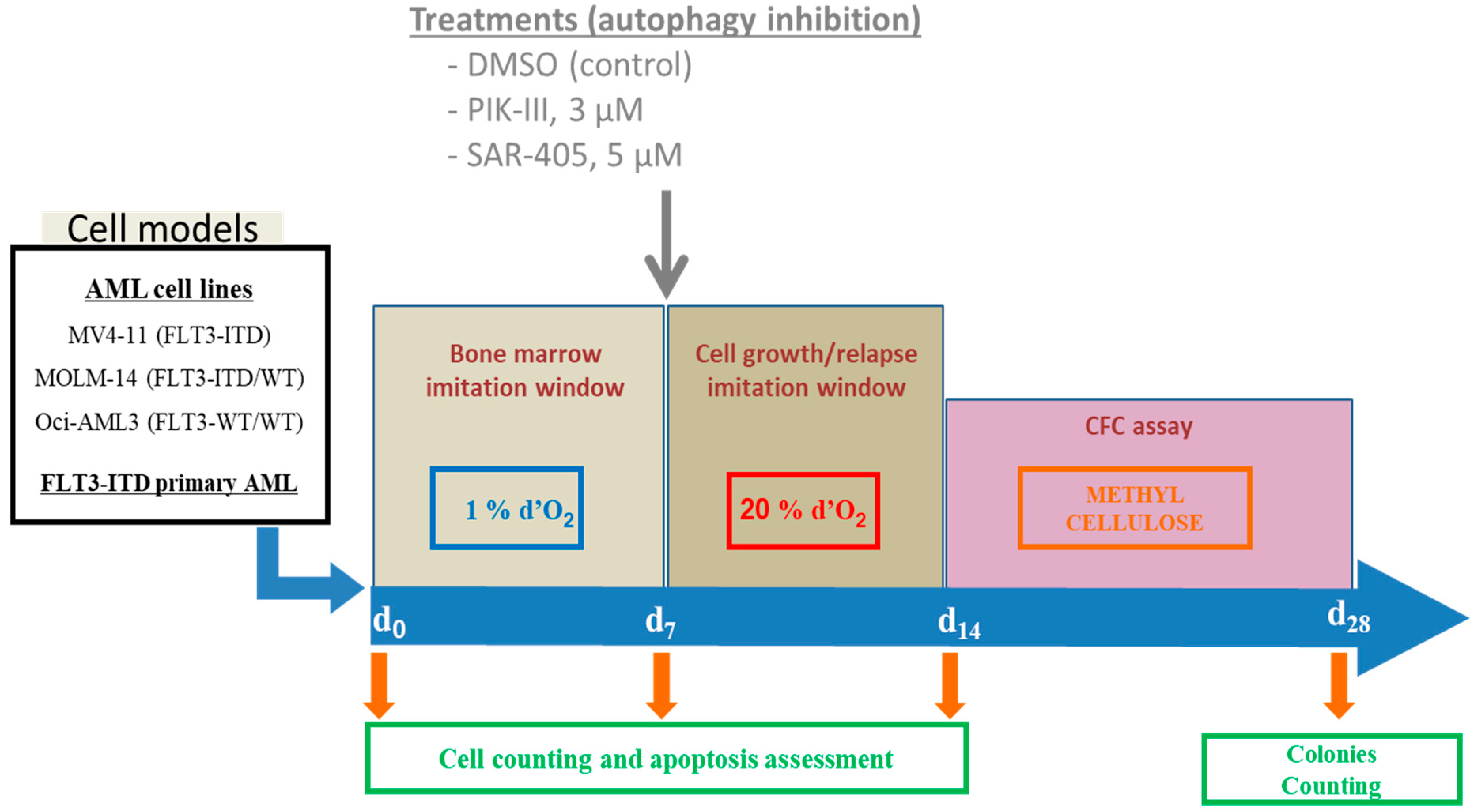 Cancers 14 00453 g001 Cancers 14 00453 g001