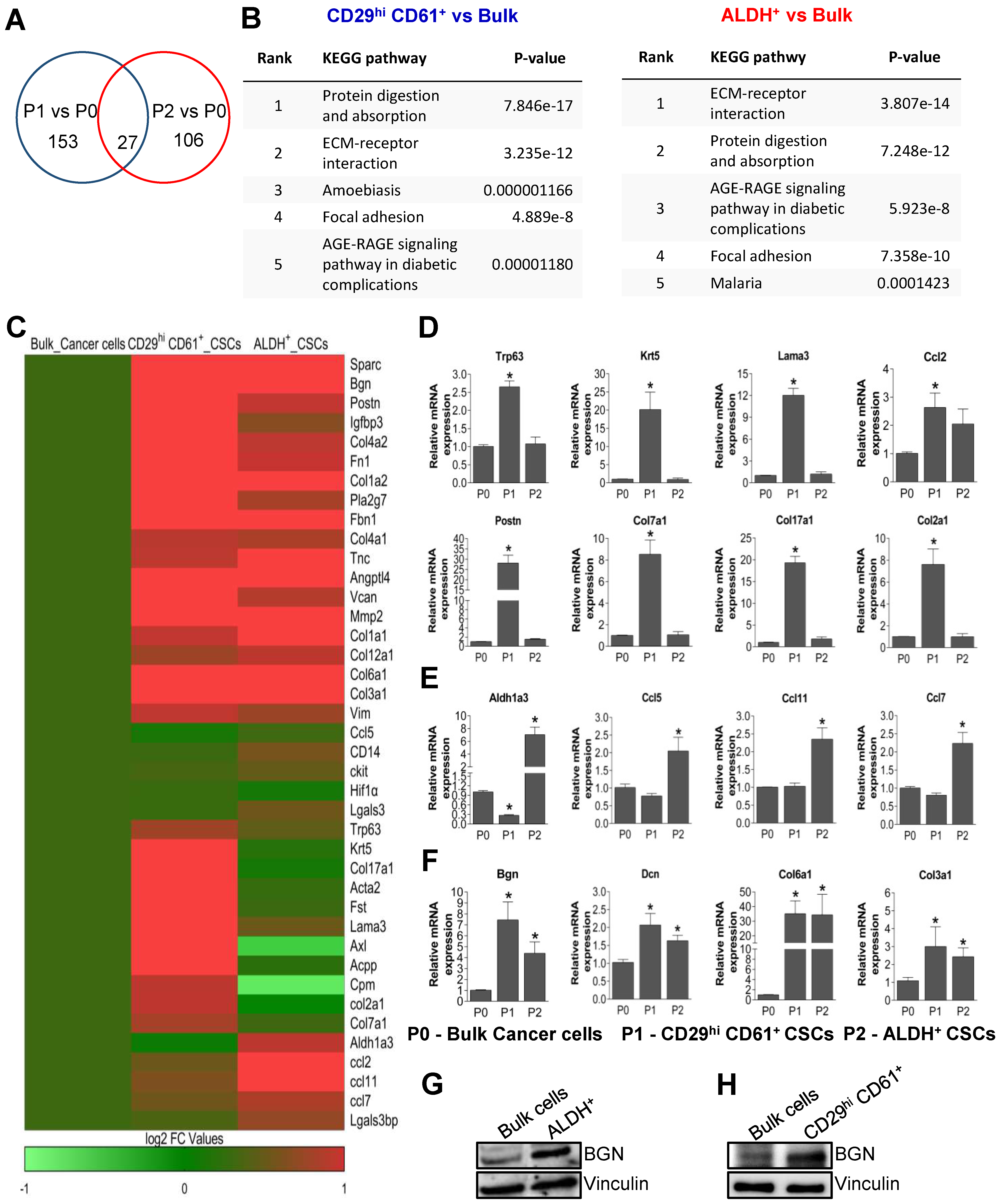 Cancers 14 00455 g001 550
