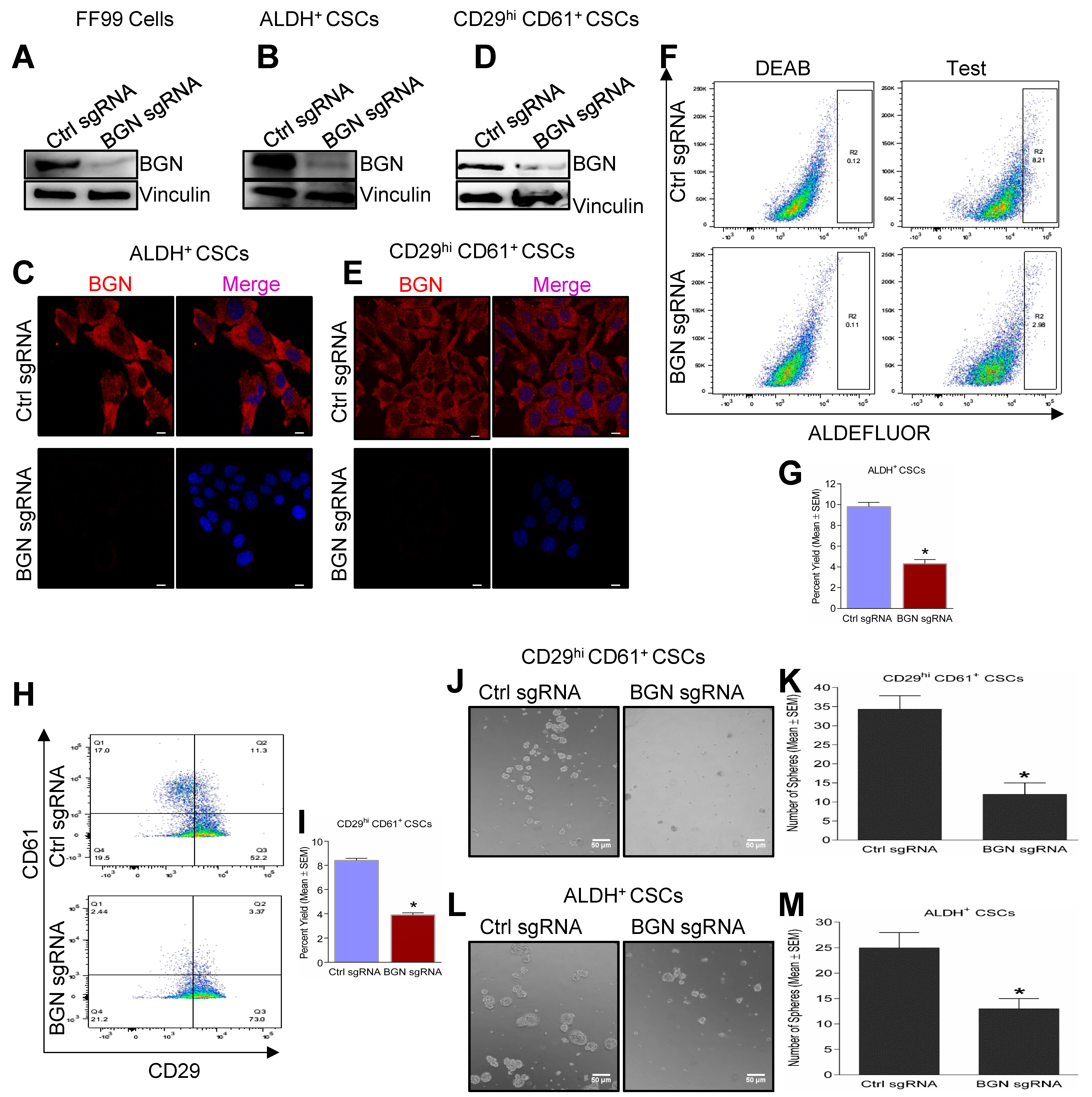 Cancers 14 00455 g002 550