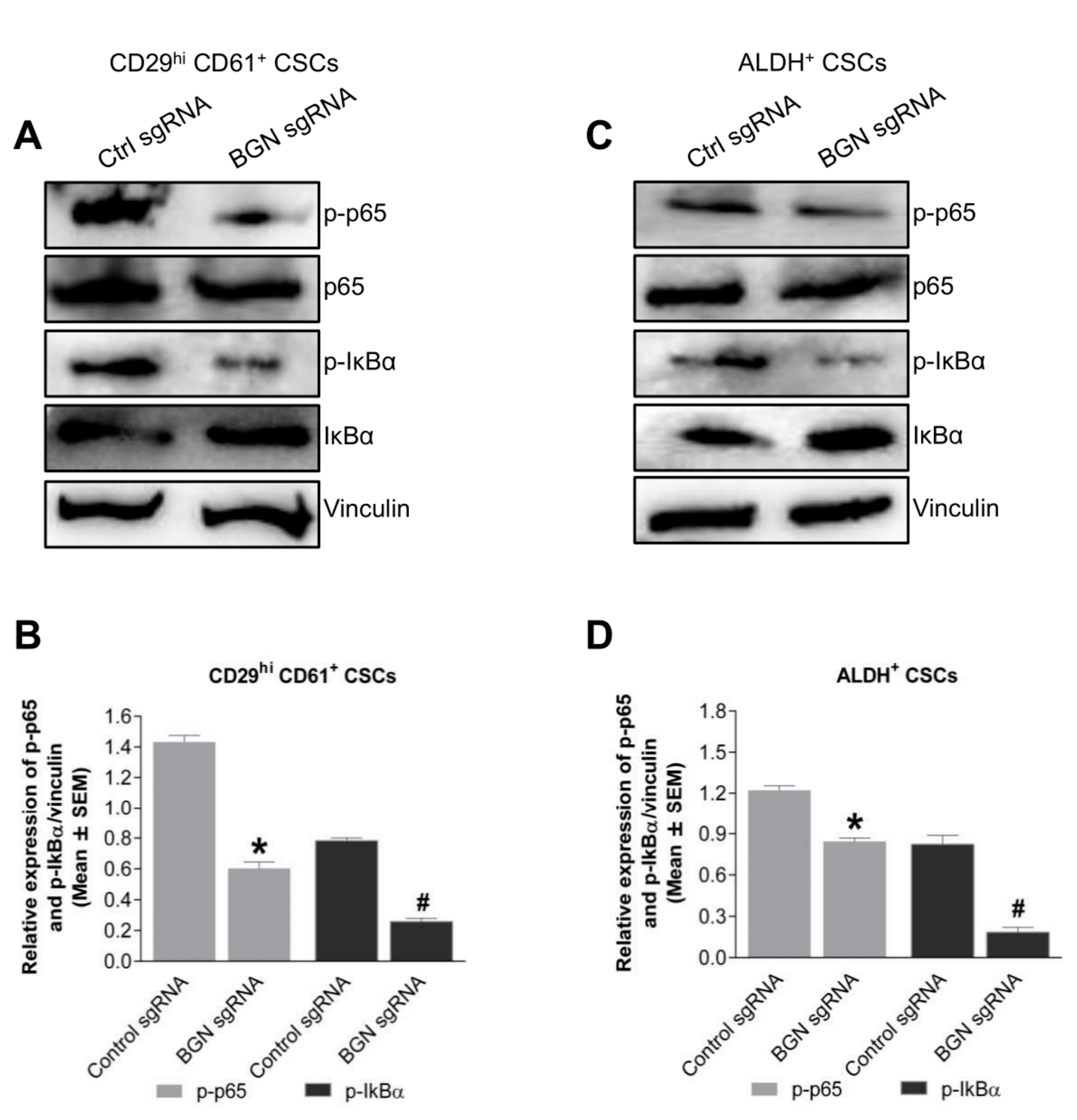 Cancers 14 00455 g005 550