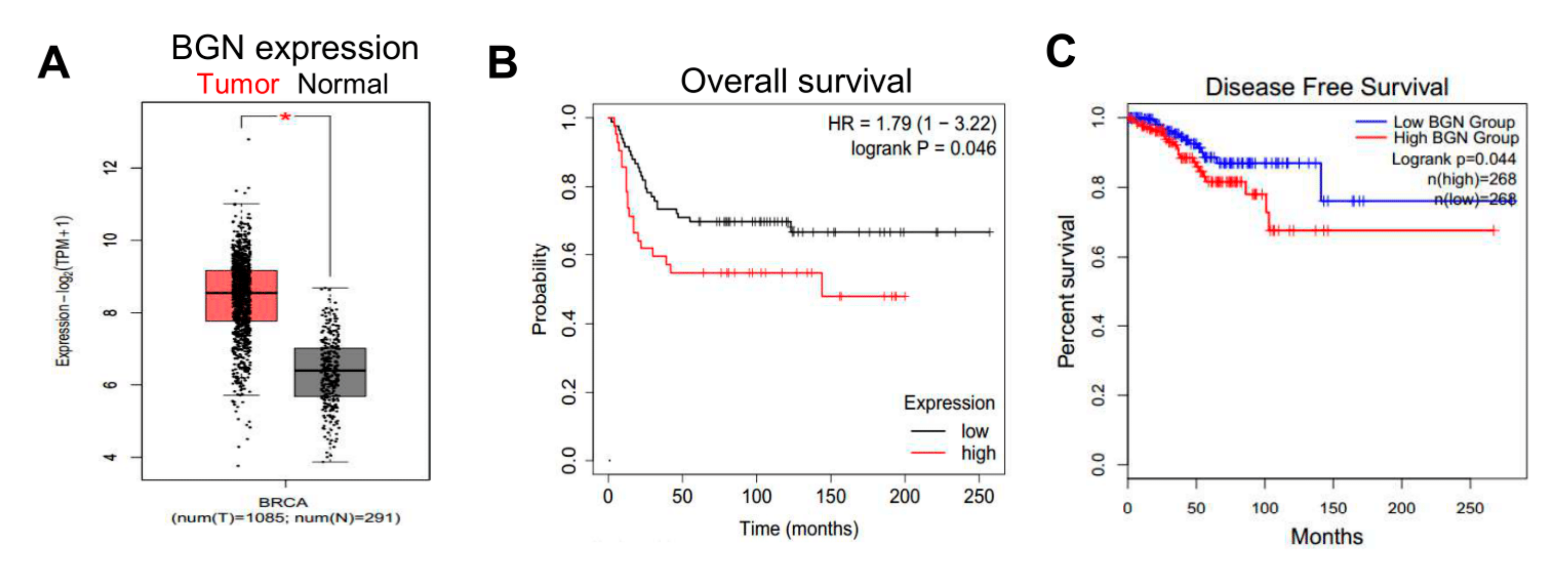 Cancers 14 00455 g007 550