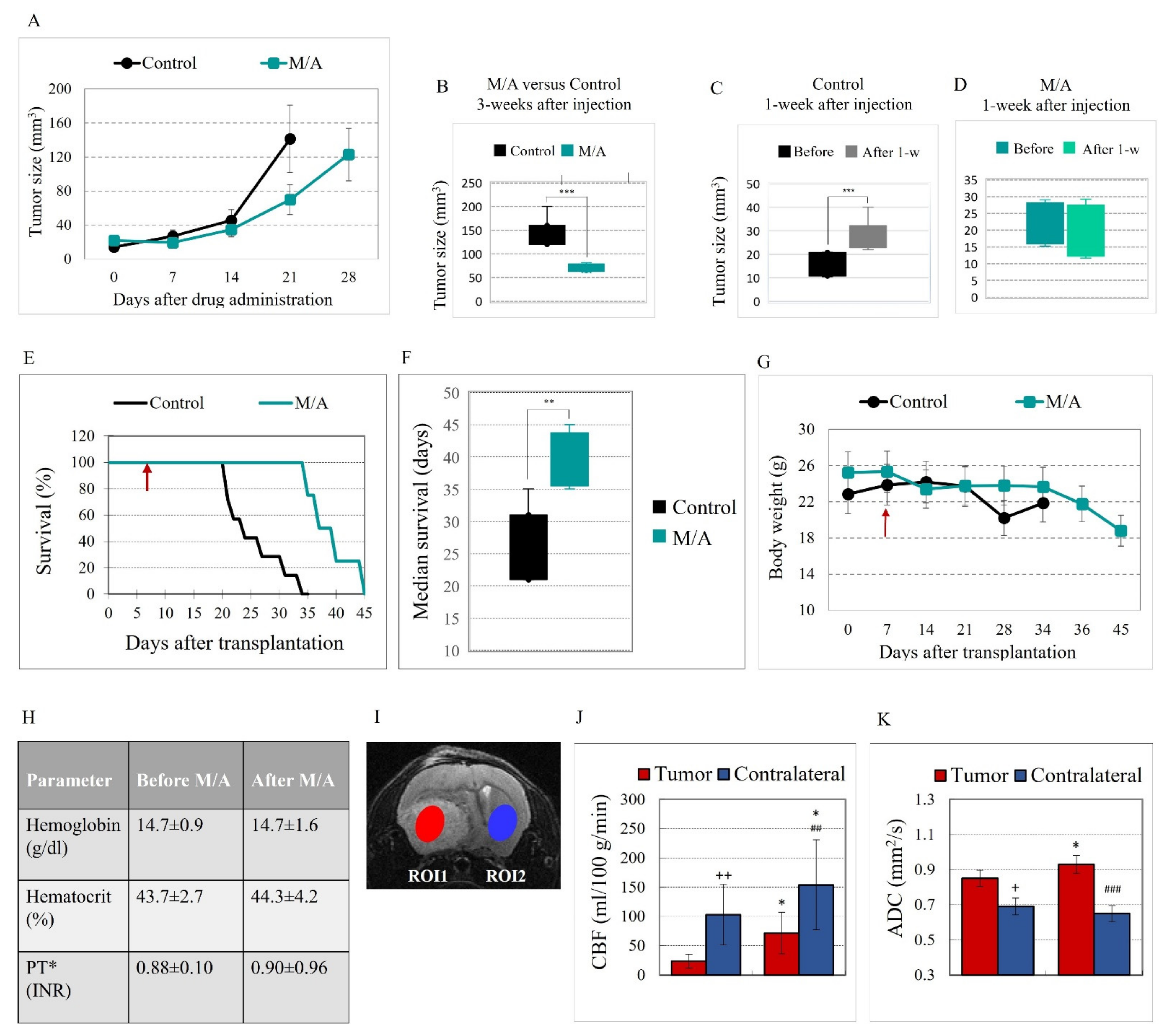 Cancers 14 00485 g001