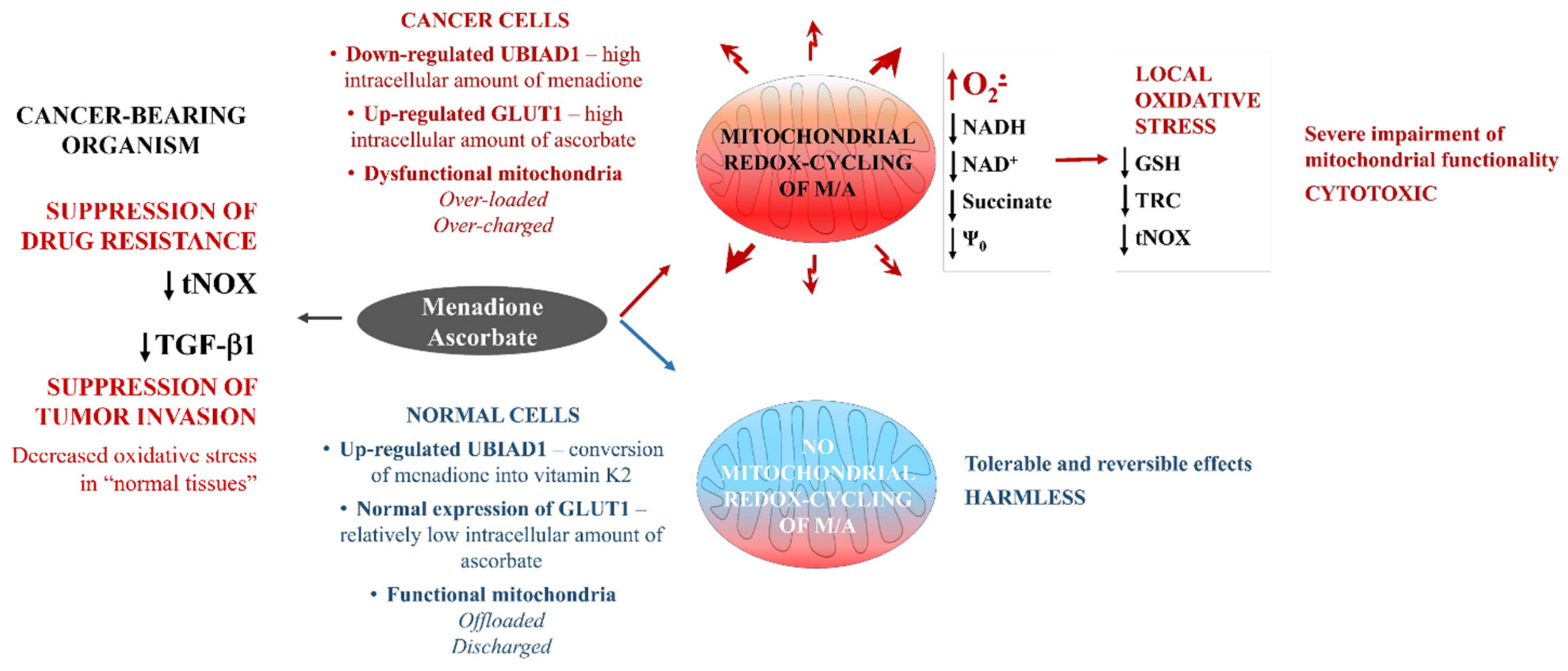Cancers 14 00485 g004