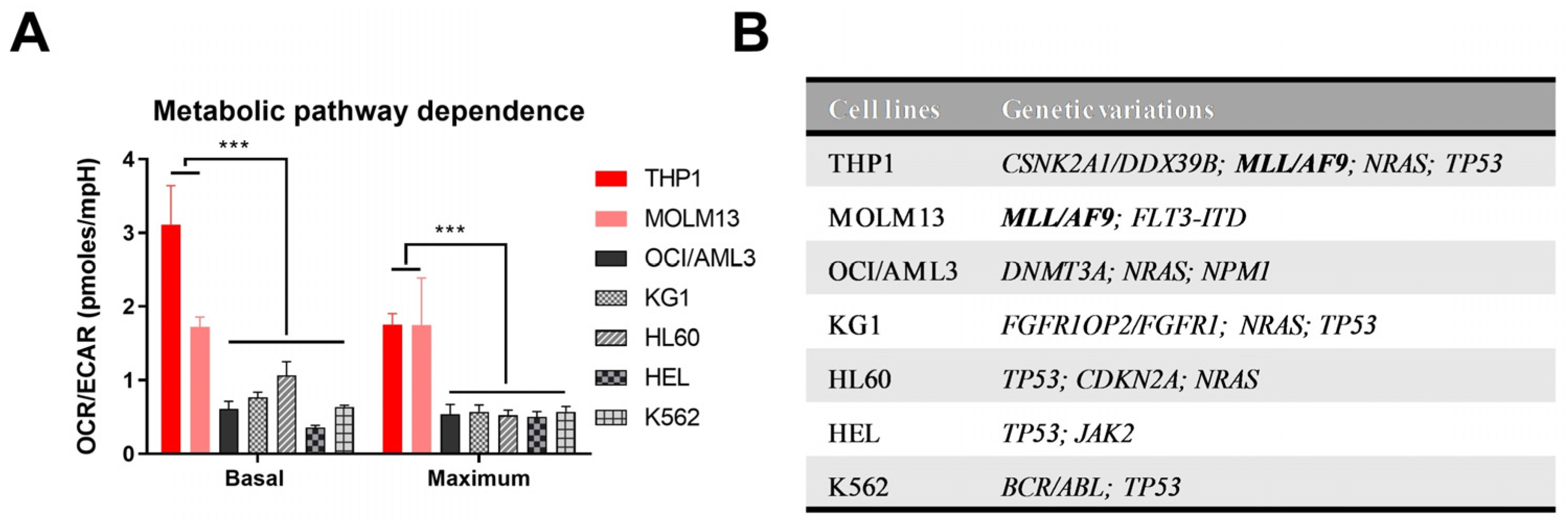 Cancers | Free Full-Text | High Metabolic Dependence on Oxidative Phosphorylation Drives Sensitivity to Metformin Treatment in MLL/AF9 Acute Myeloid Leukemia Cancers | Free Full-Text | High Metabolic Dependence on Oxidative Phosphorylation Drives Sensitivity to Metformin Treatment in MLL/AF9 Acute Myeloid Leukemia