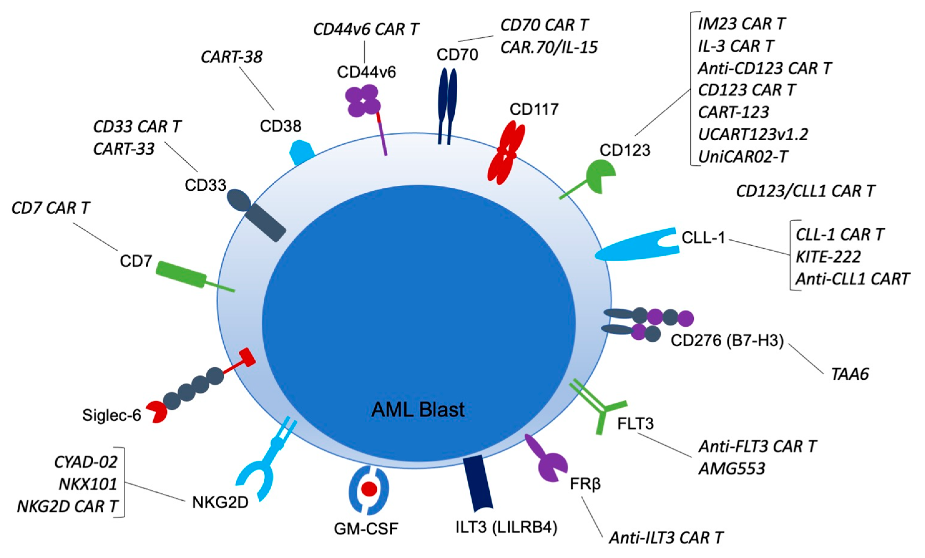 Aml проверка кошелька. AML сервис. Анти EGFR терапия. AML 1 and 2. AML проверка