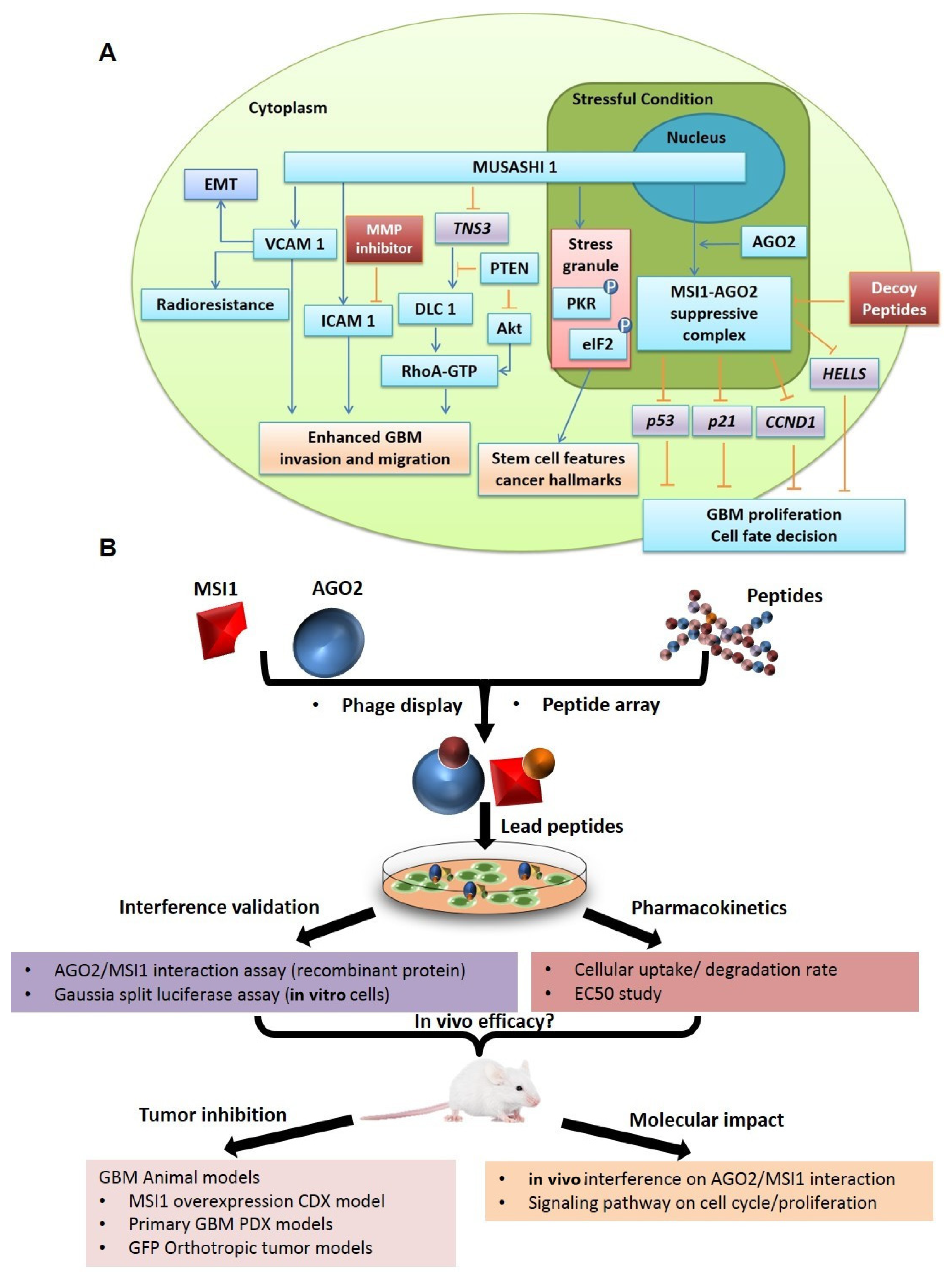 Cancers 14 00505 g001