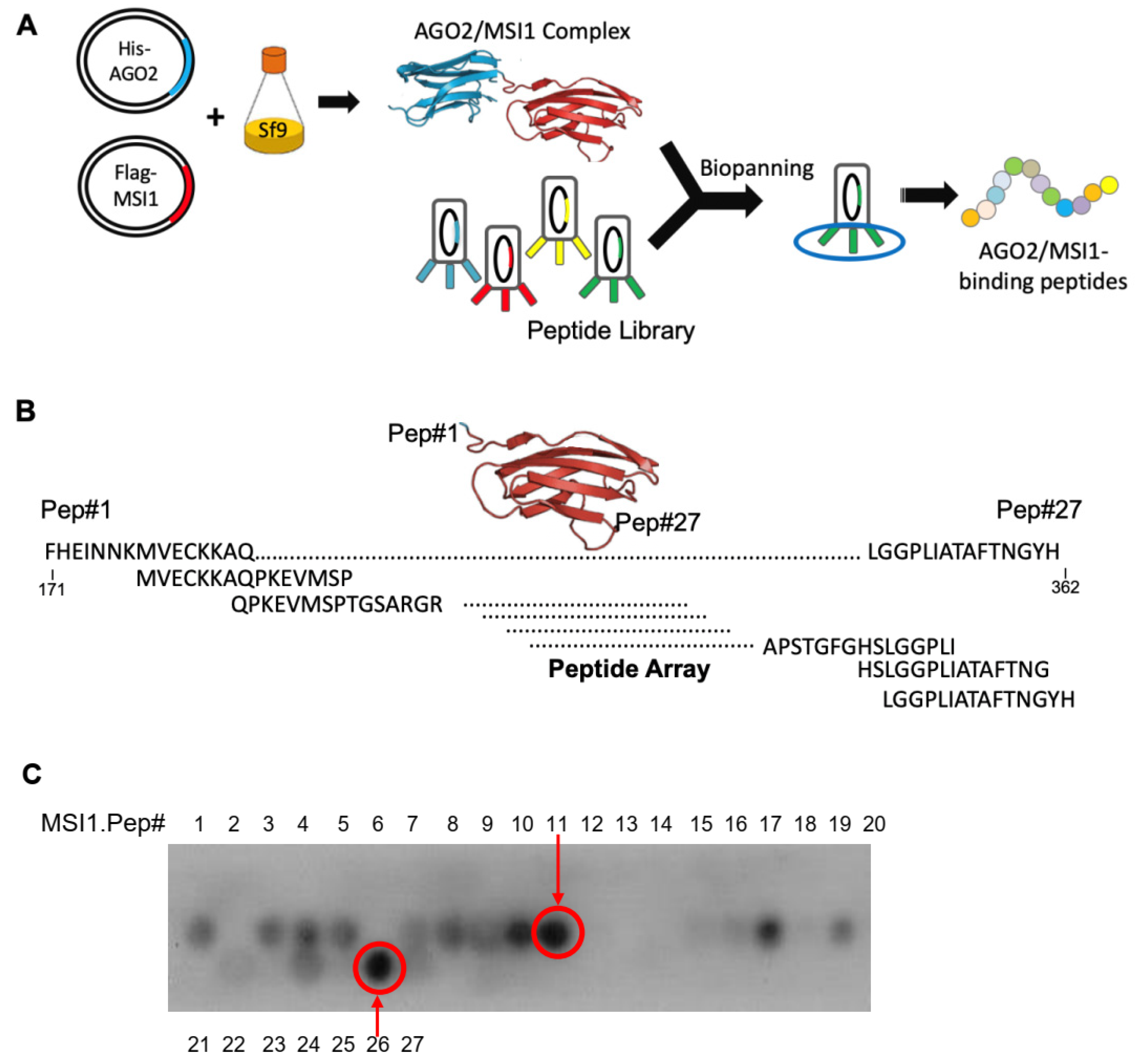 Cancers 14 00505 g002