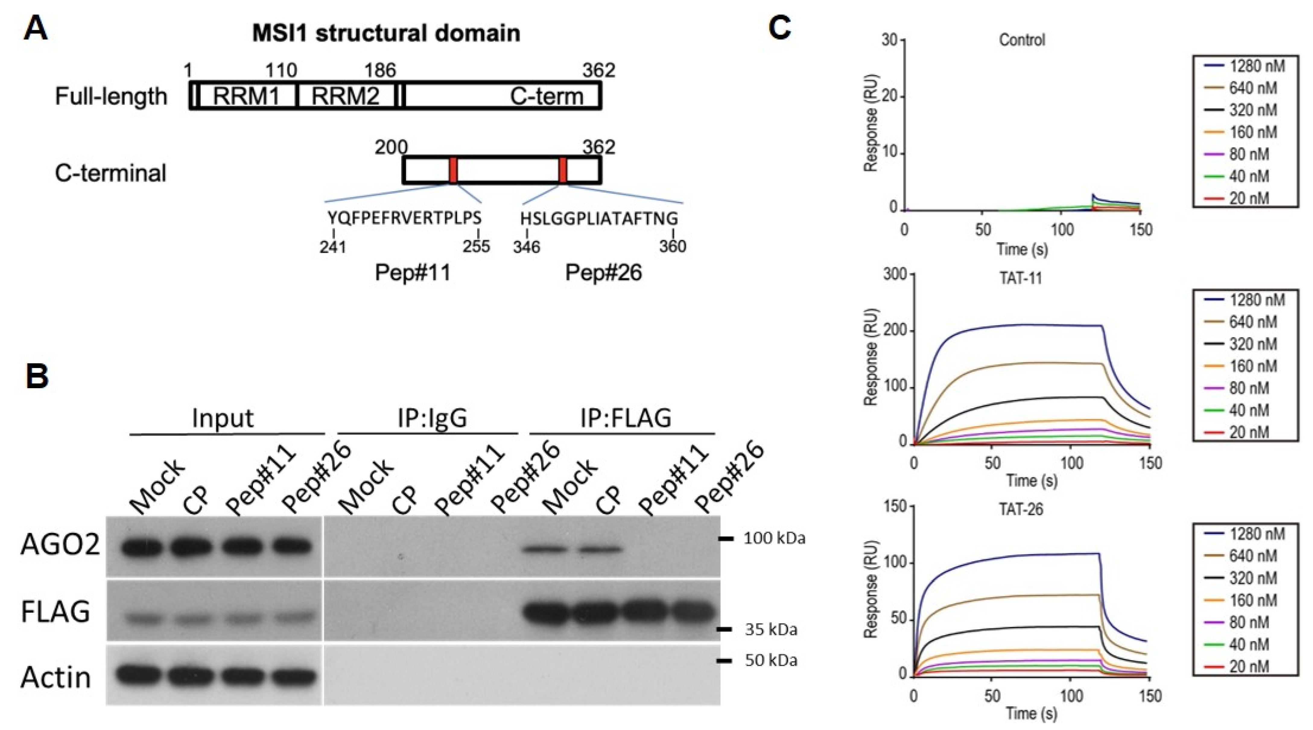 Cancers 14 00505 g003