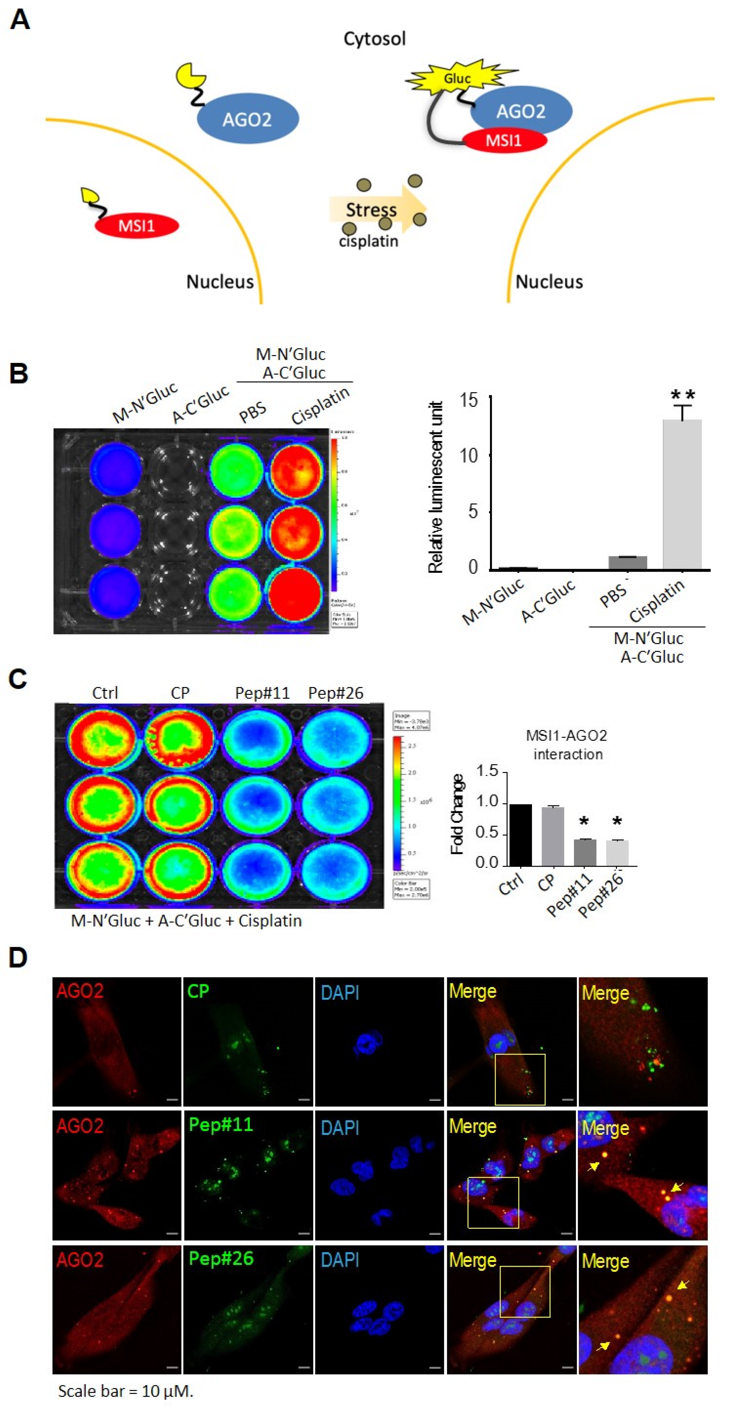Cancers 14 00505 g004