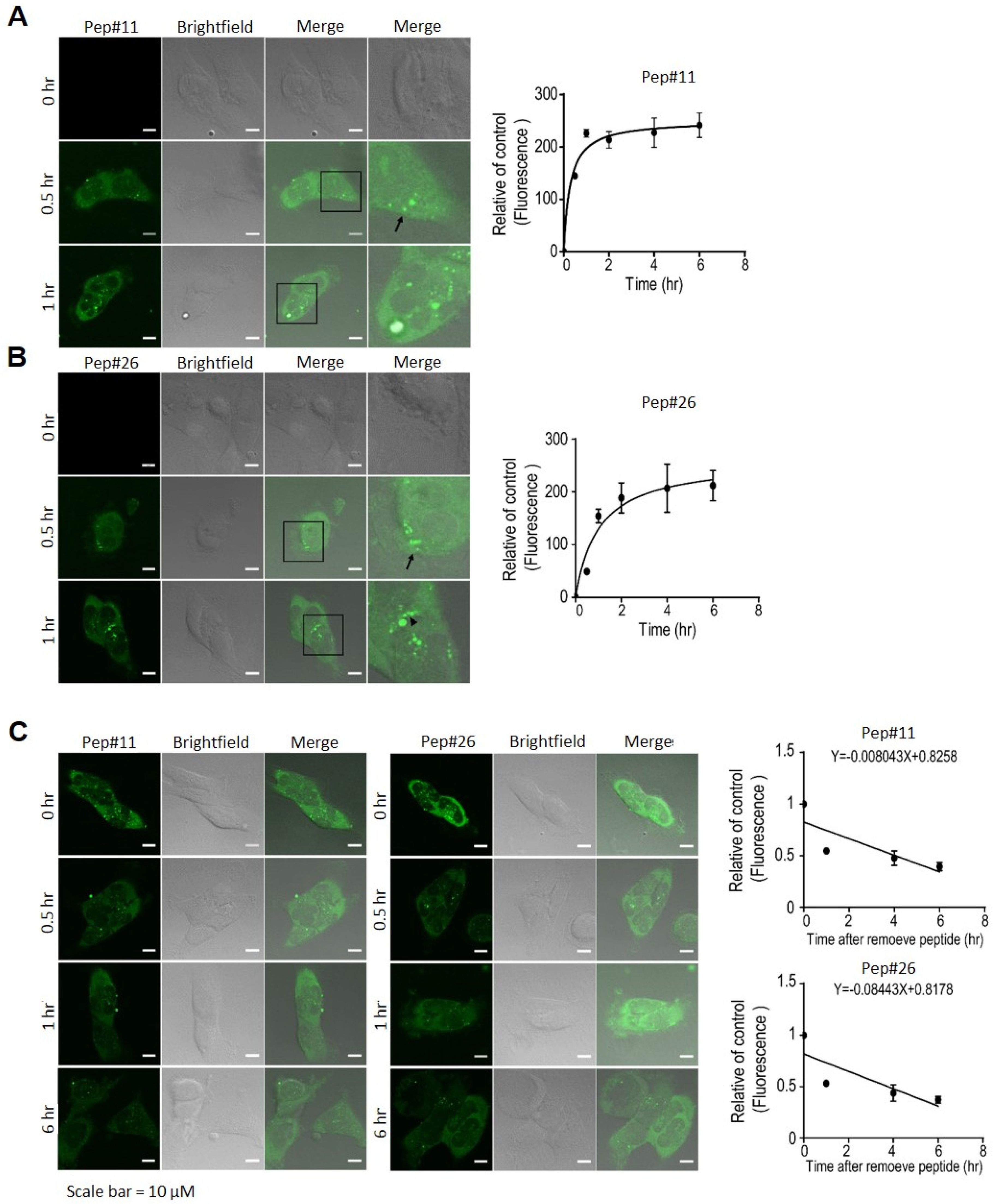 Cancers 14 00505 g005