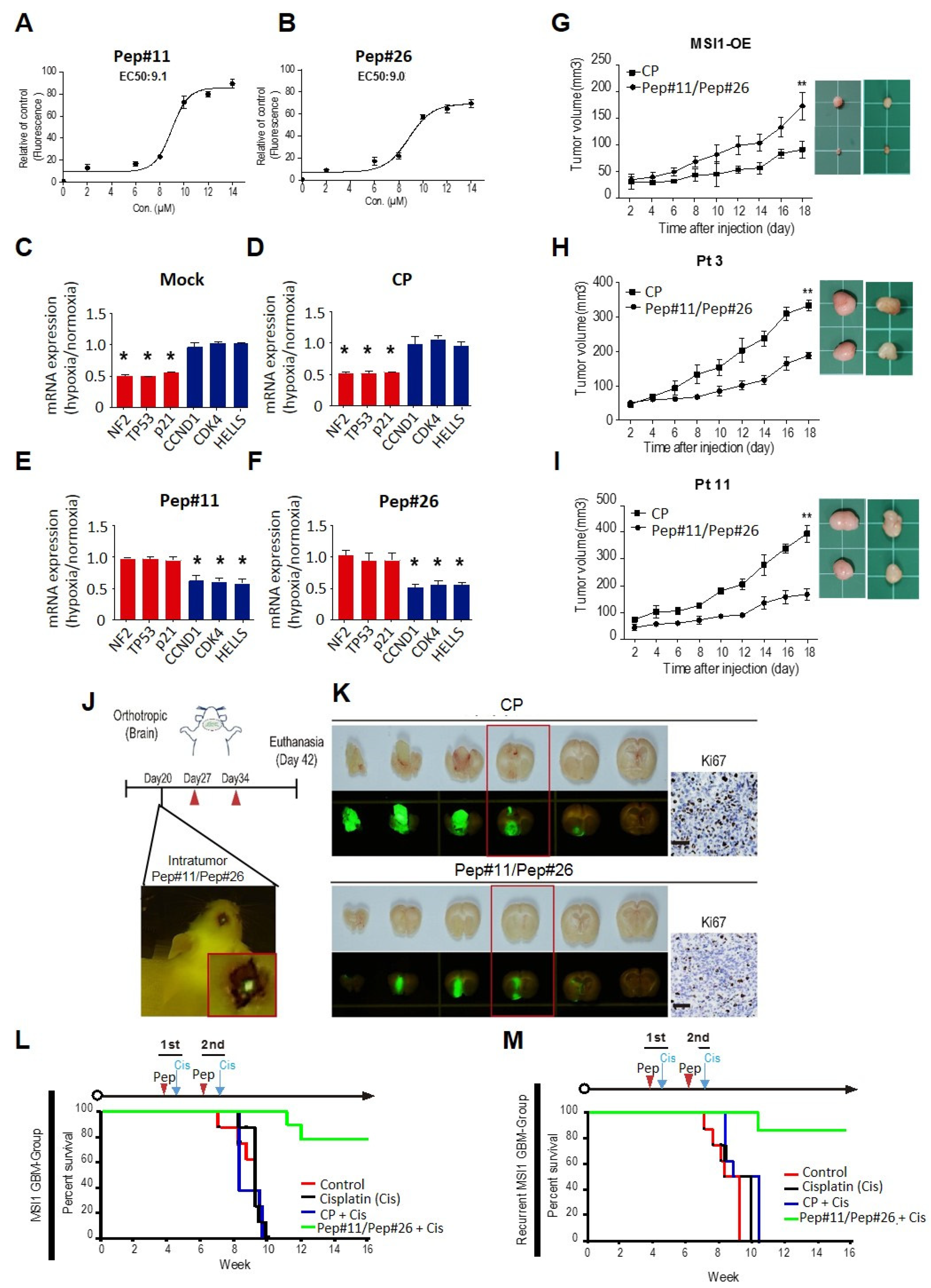 Cancers 14 00505 g006