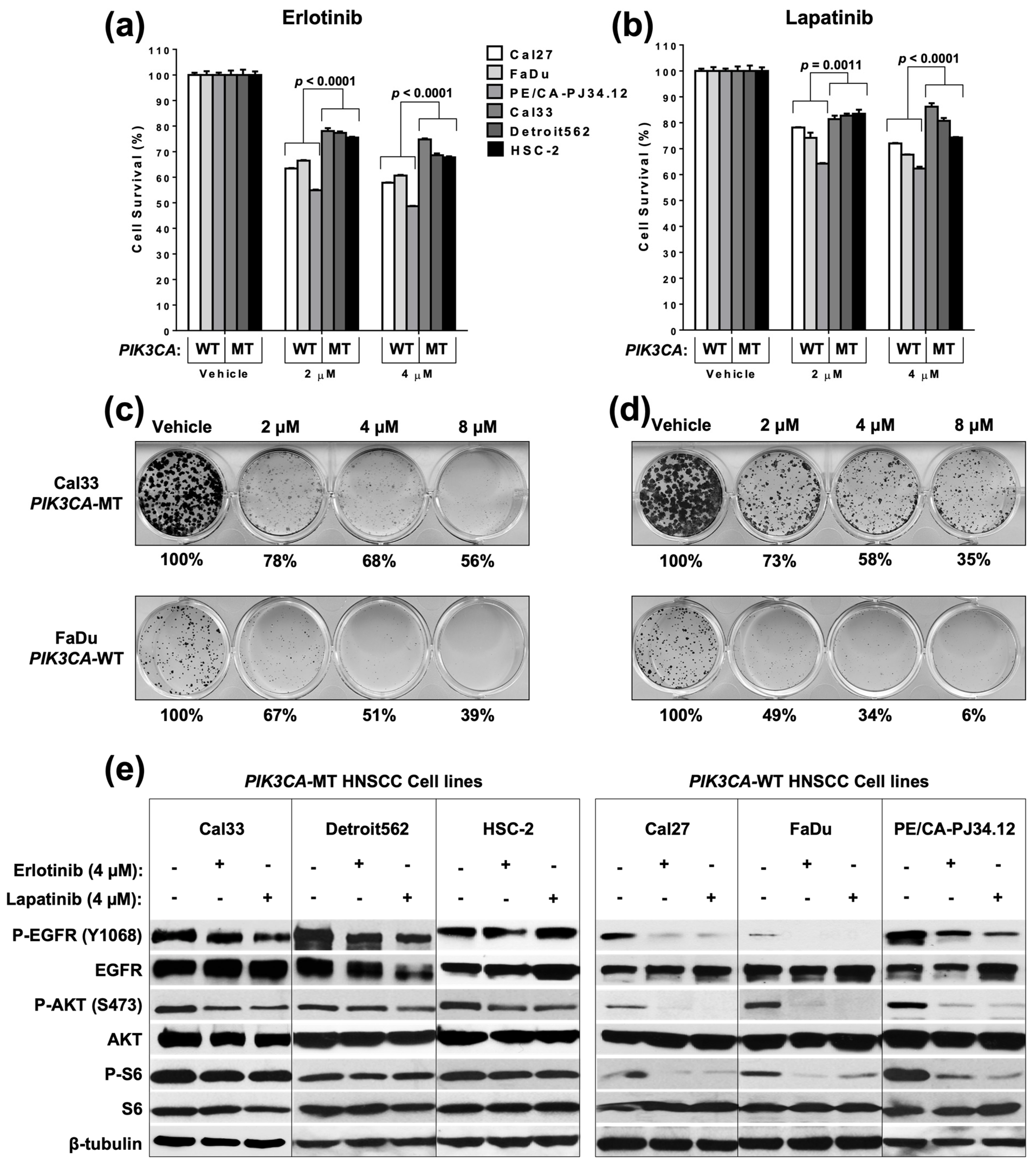 Cancers 14 00506 g001
