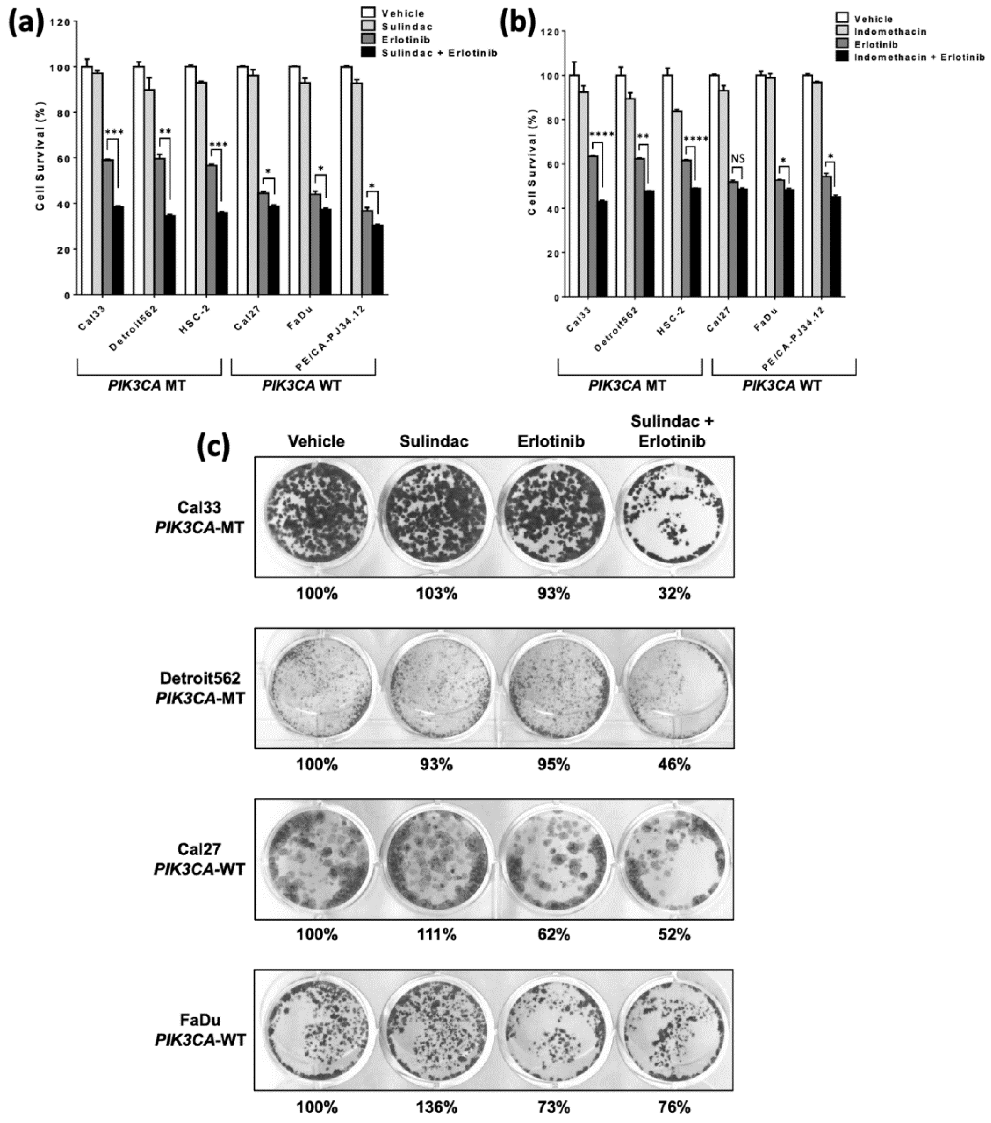 Cancers 14 00506 g002