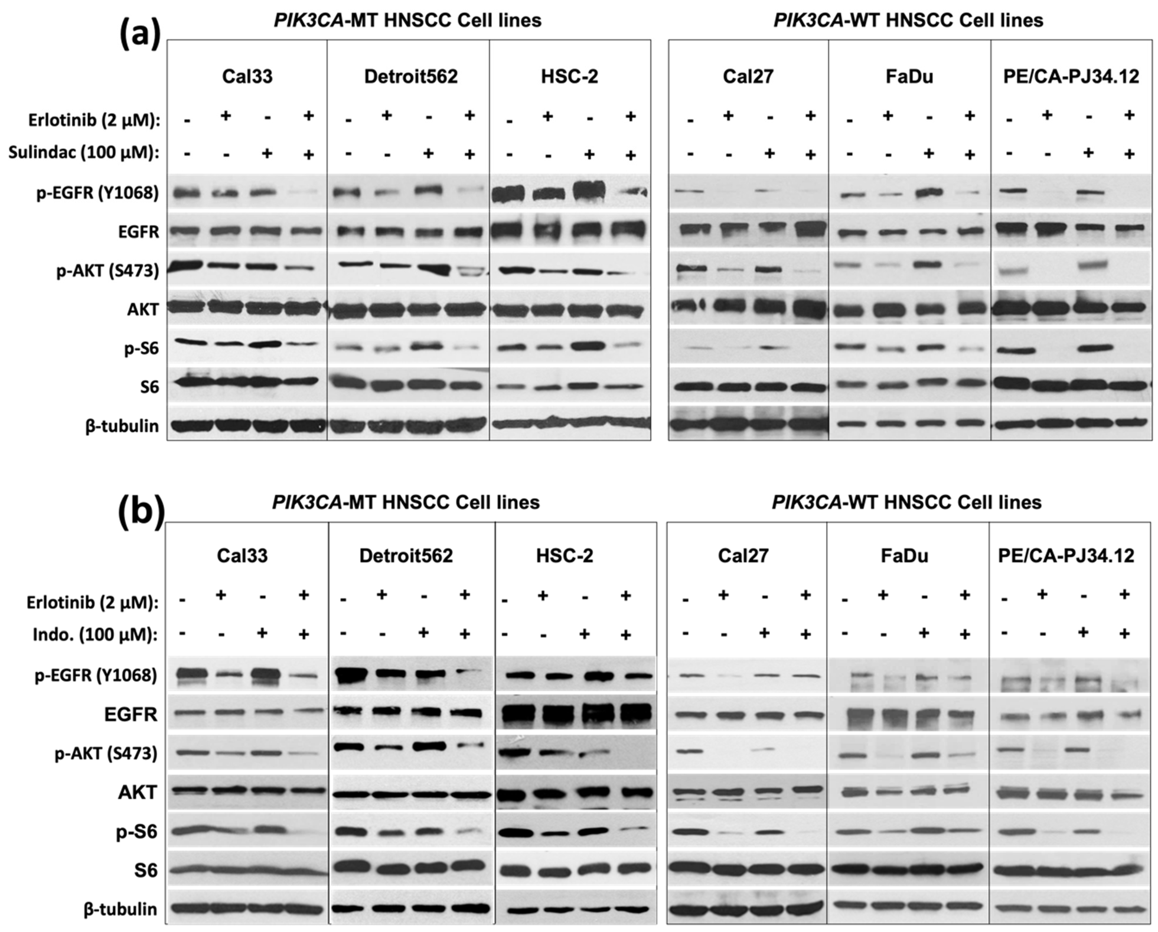 Cancers 14 00506 g003