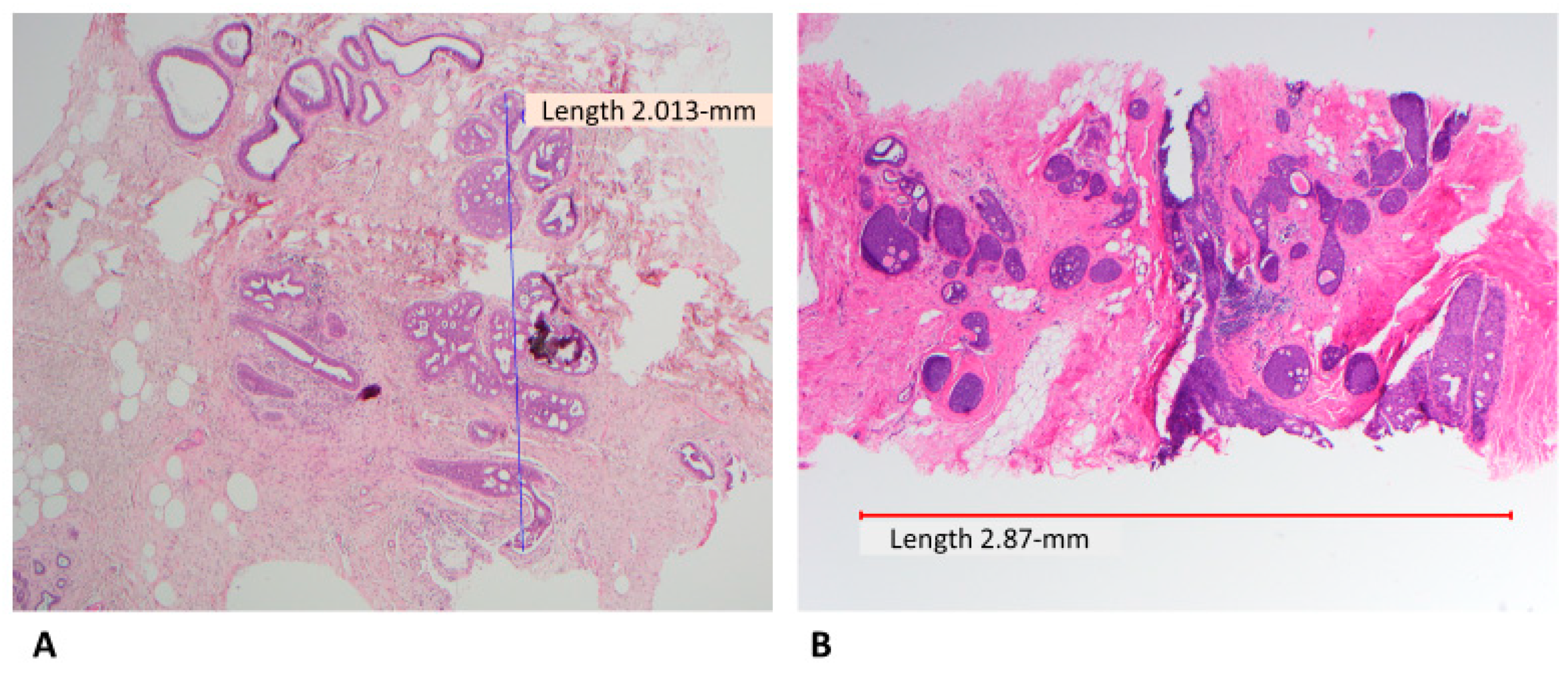 Cancers 14 00507 g002 550