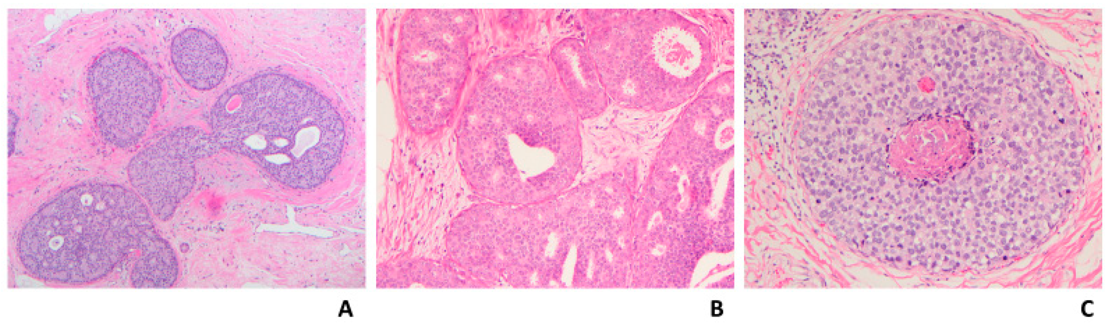 Cancers 14 00507 g005 550