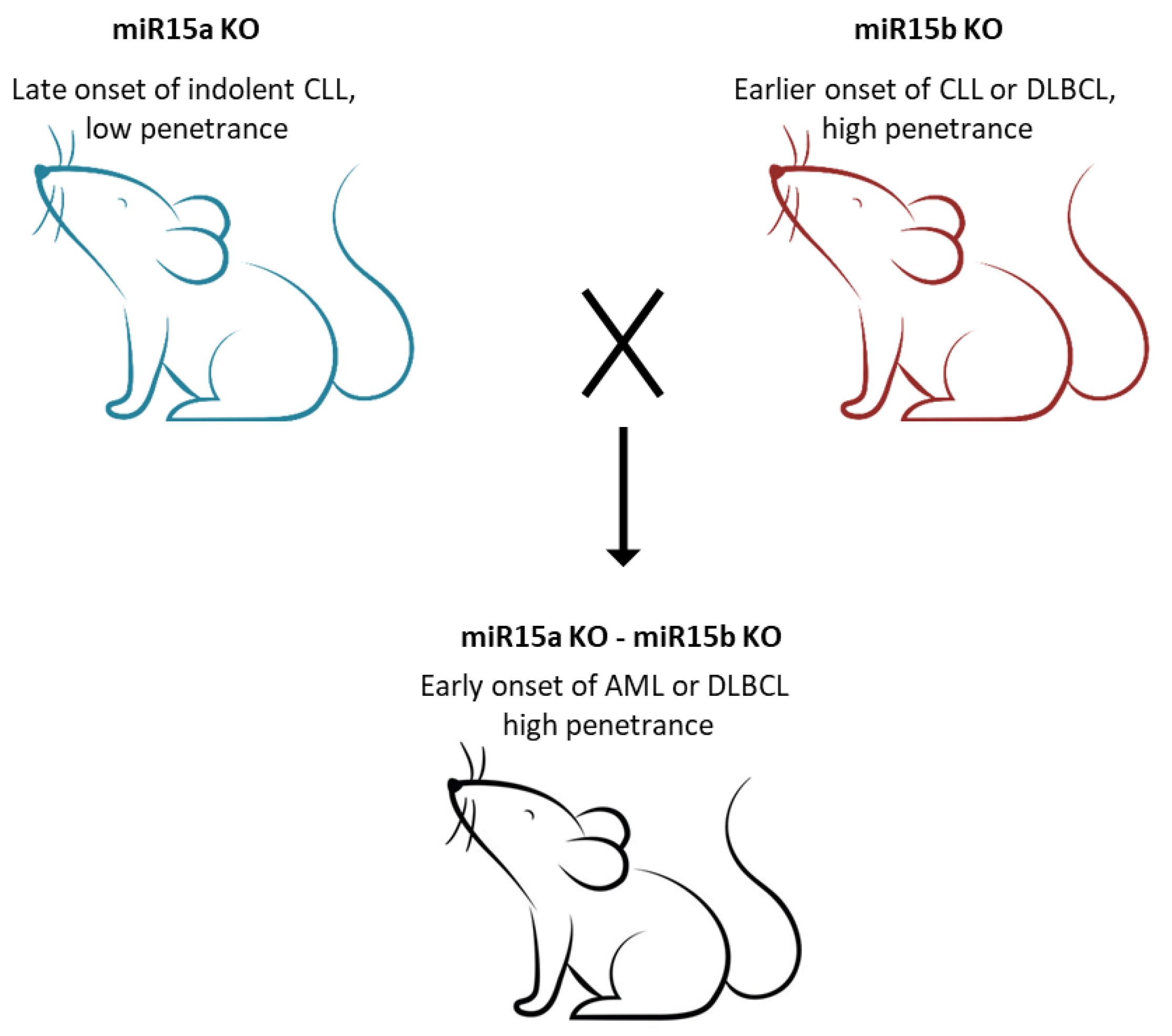 Cancers 14 00509 g002 Cancers 14 00509 g002