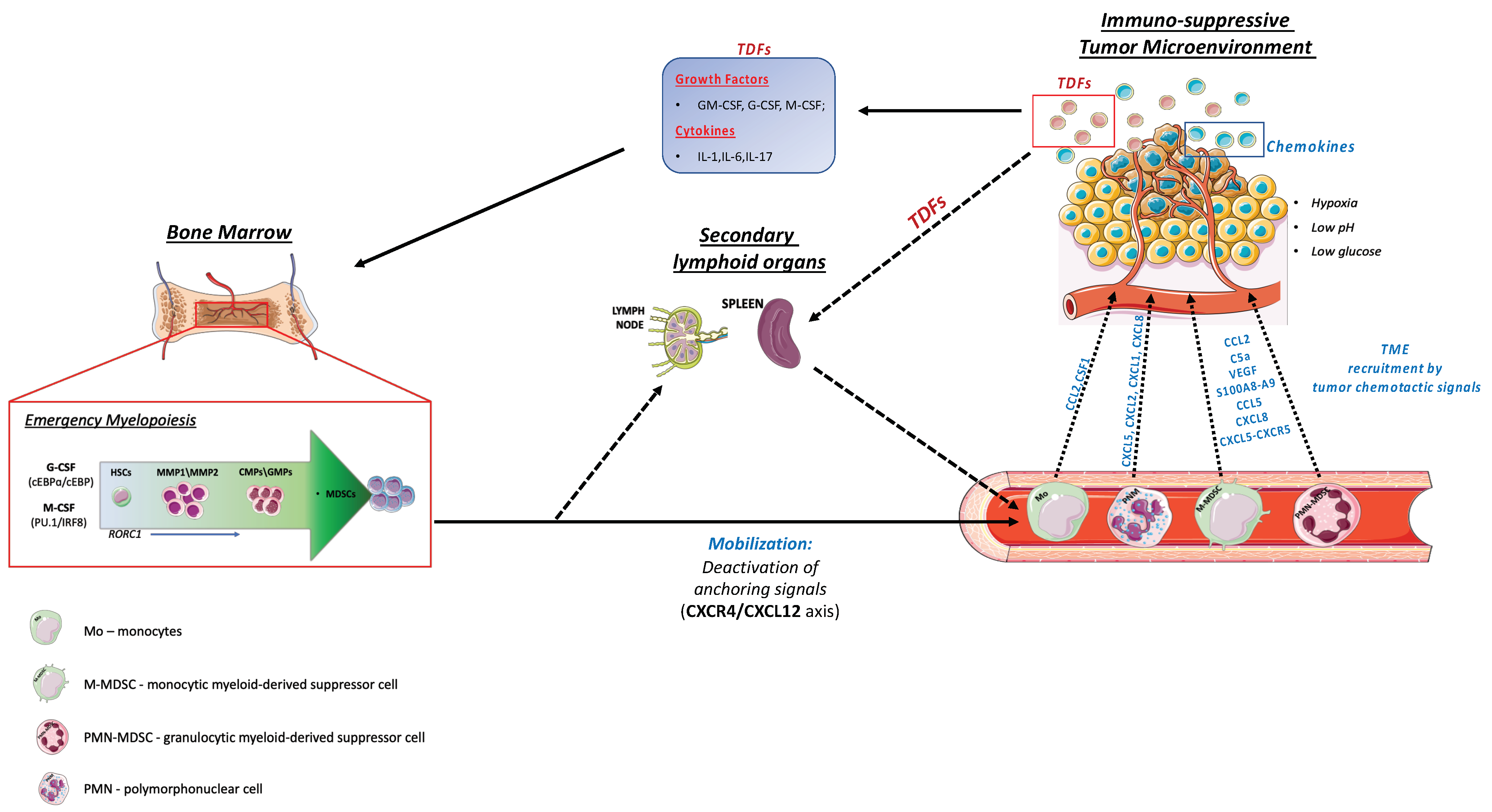 Cancers 14 00510 g001 550