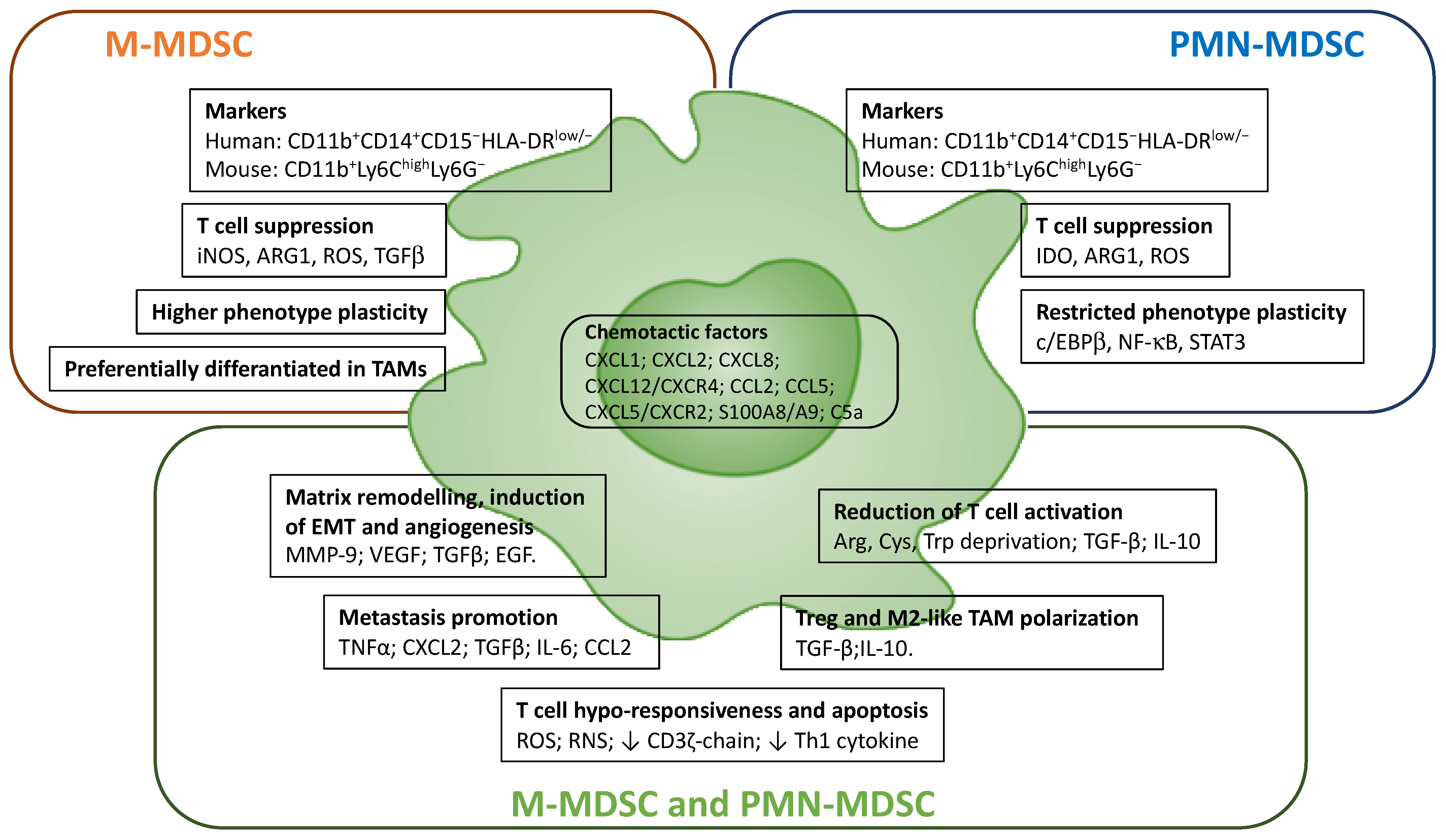 Cancers 14 00510 g003 550