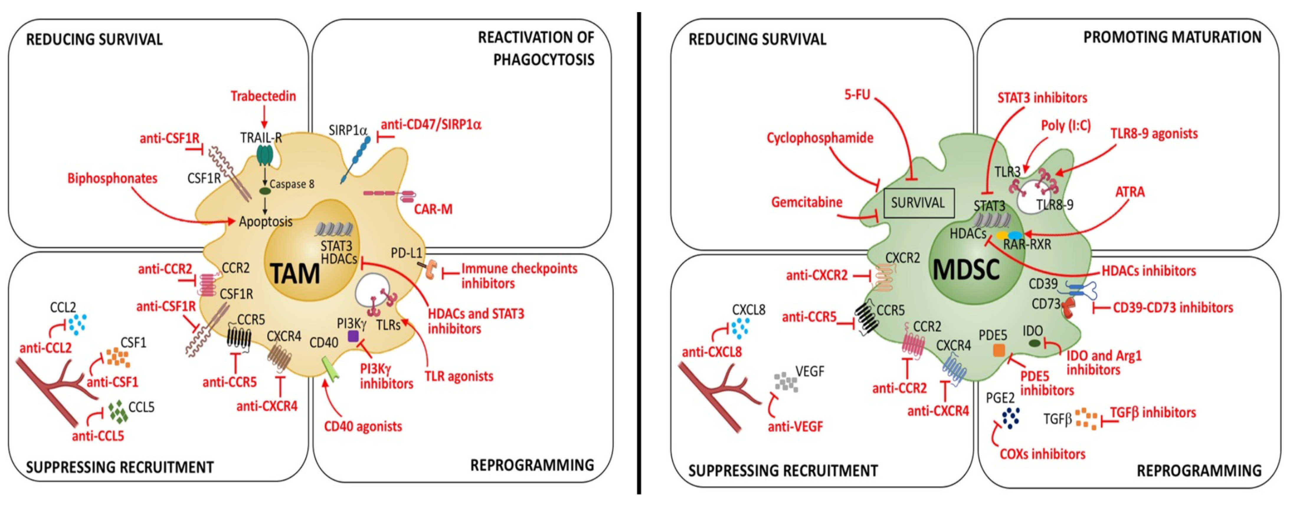 Cancers 14 00510 g004 550