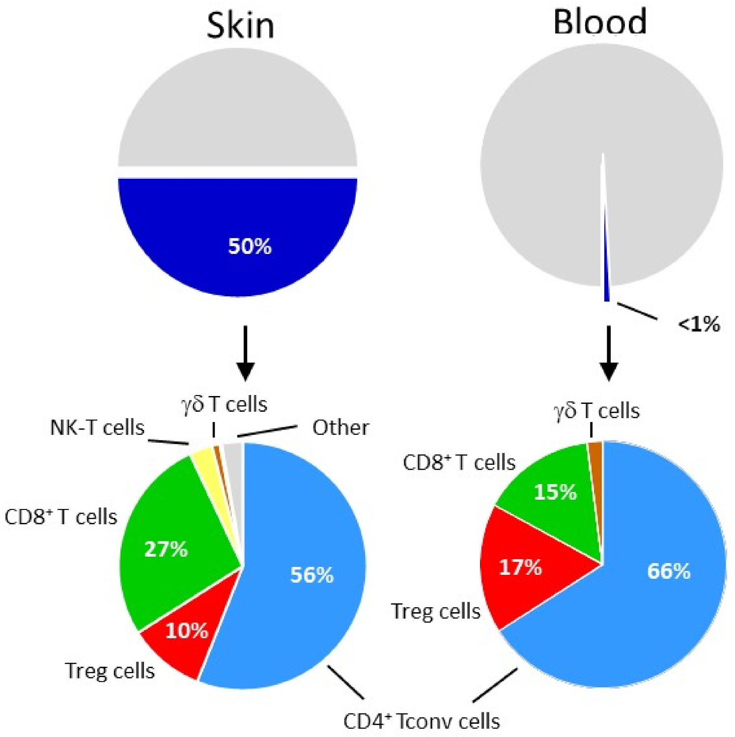 Cancers 14 00511 g003 550