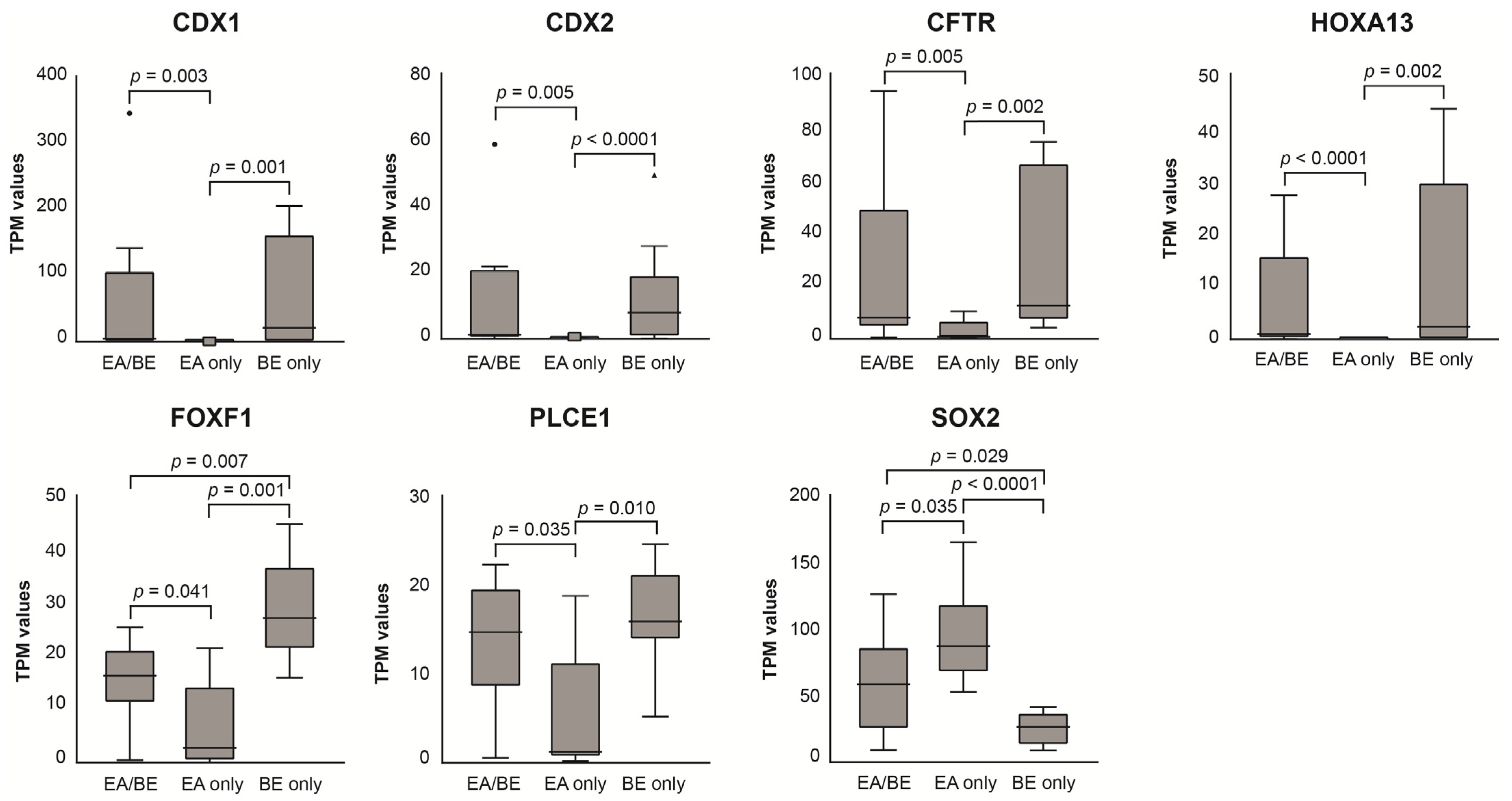 Cancers 14 00513 g003 Cancers 14 00513 g003