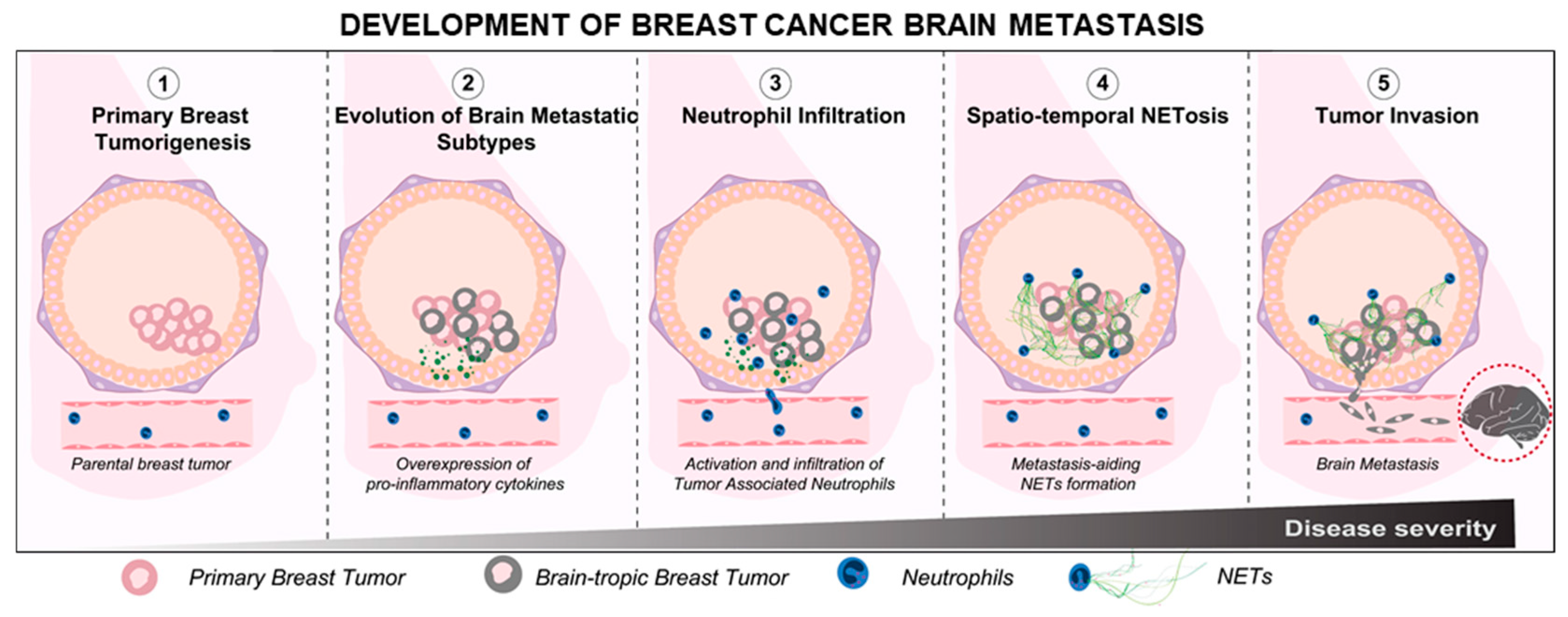 Cancers 14 00515 g001