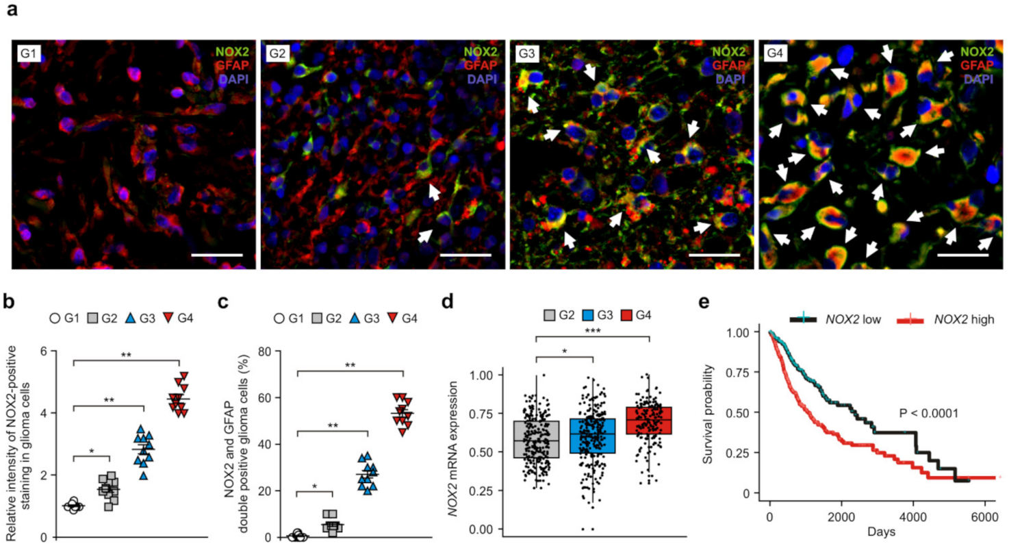 Cancers 14 00516 g001 Cancers 14 00516 g001