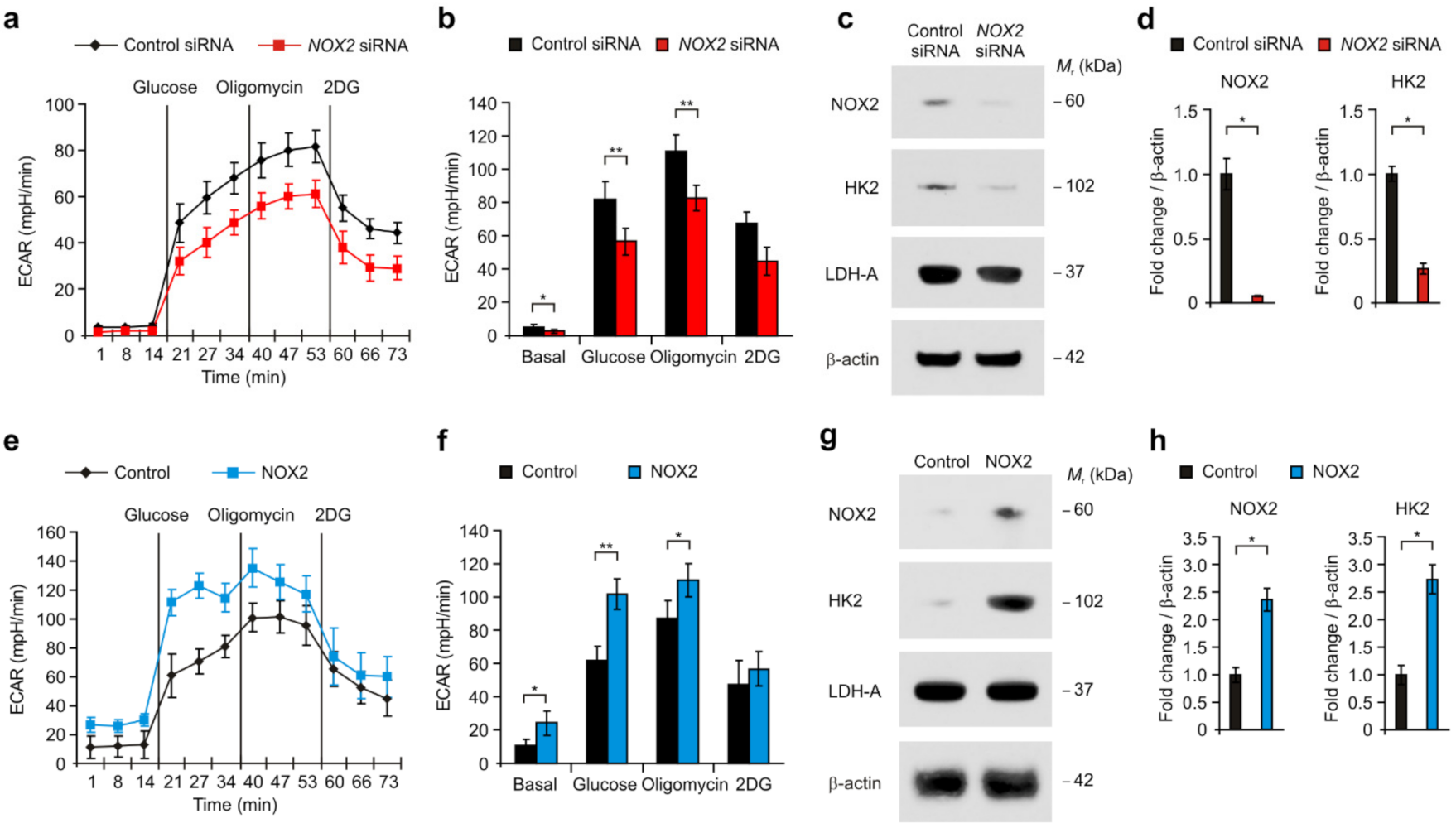Cancers 14 00516 g002 Cancers 14 00516 g002
