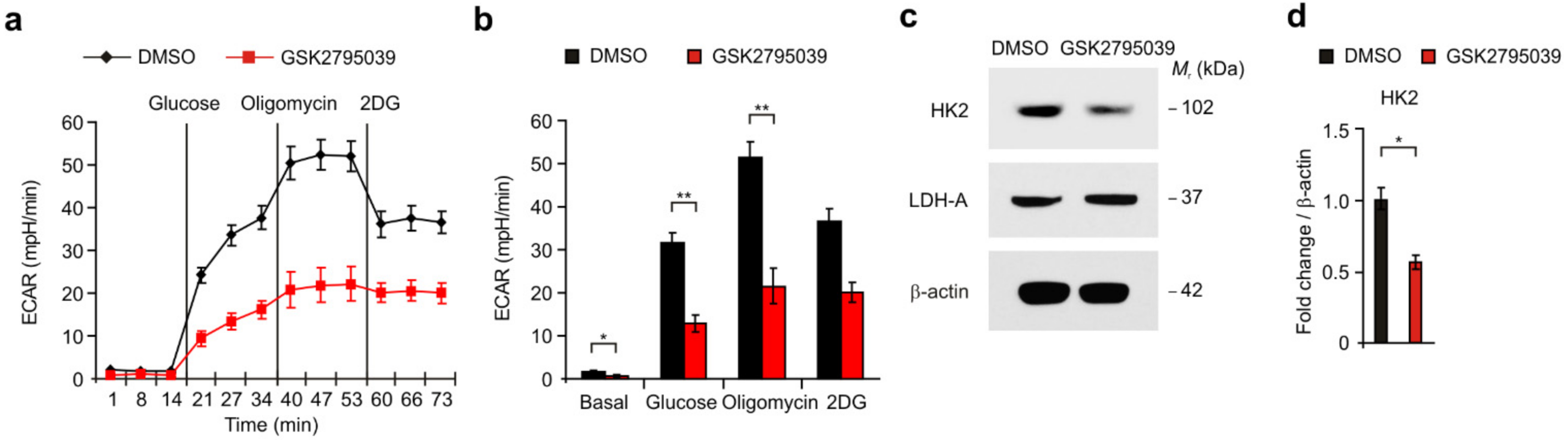 Cancers 14 00516 g003 Cancers 14 00516 g003