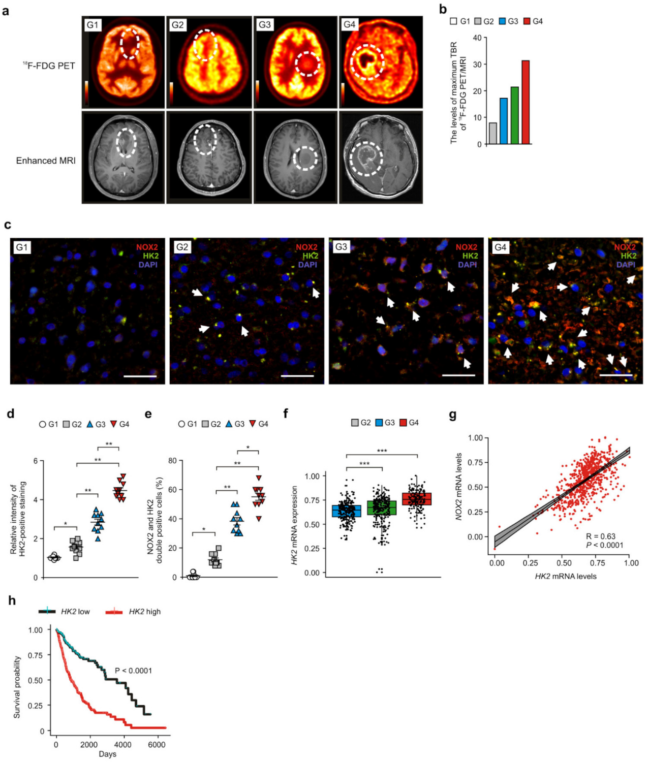 Cancers 14 00516 g004 Cancers 14 00516 g004