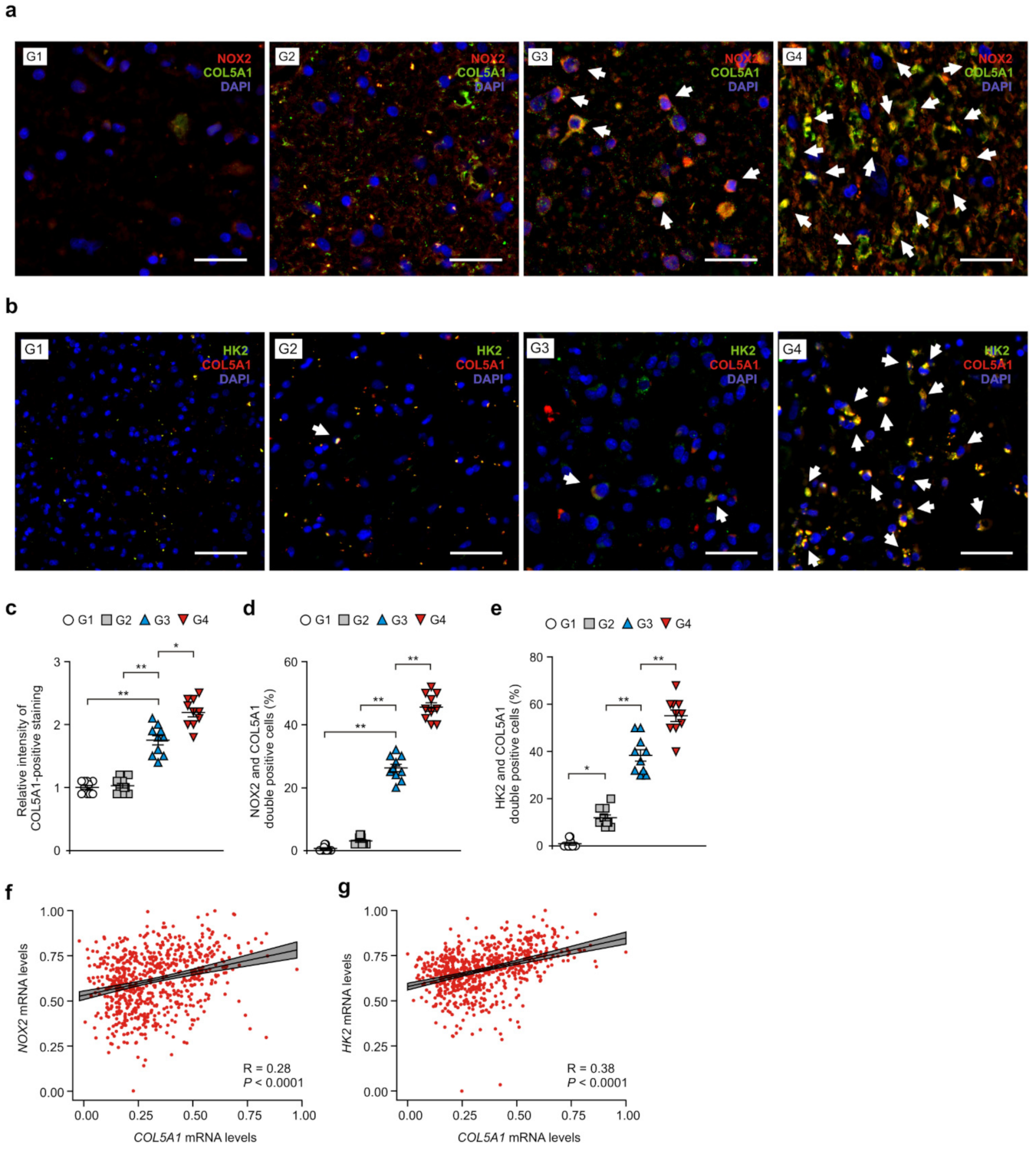Cancers 14 00516 g006 Cancers 14 00516 g006