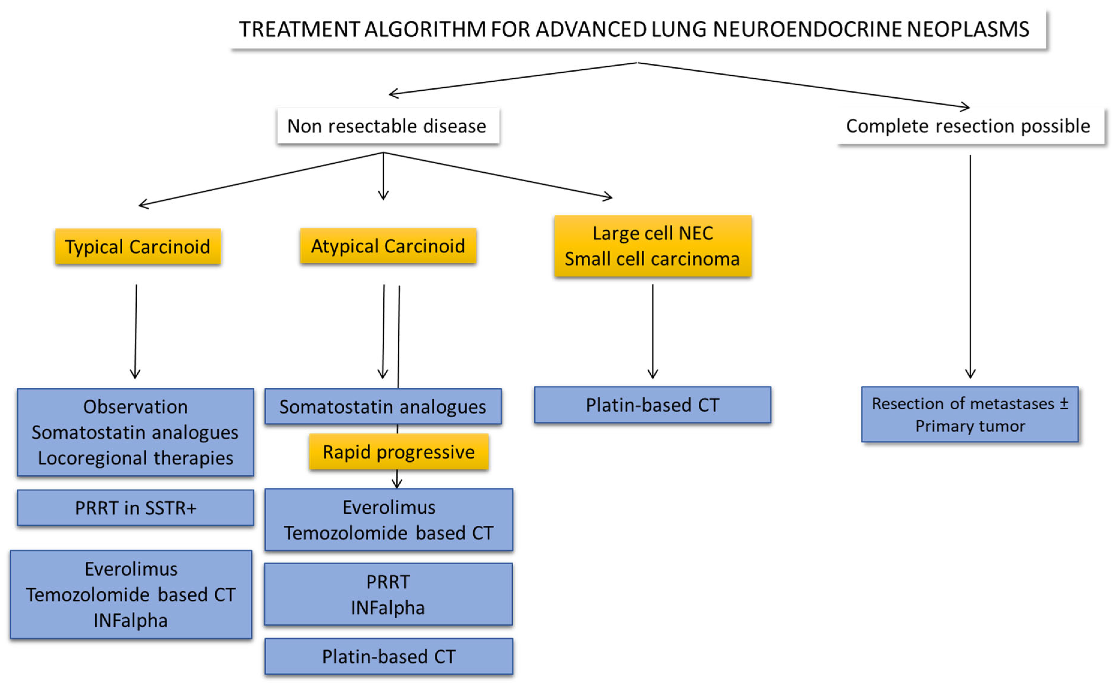 Cancers 14 00520 g002