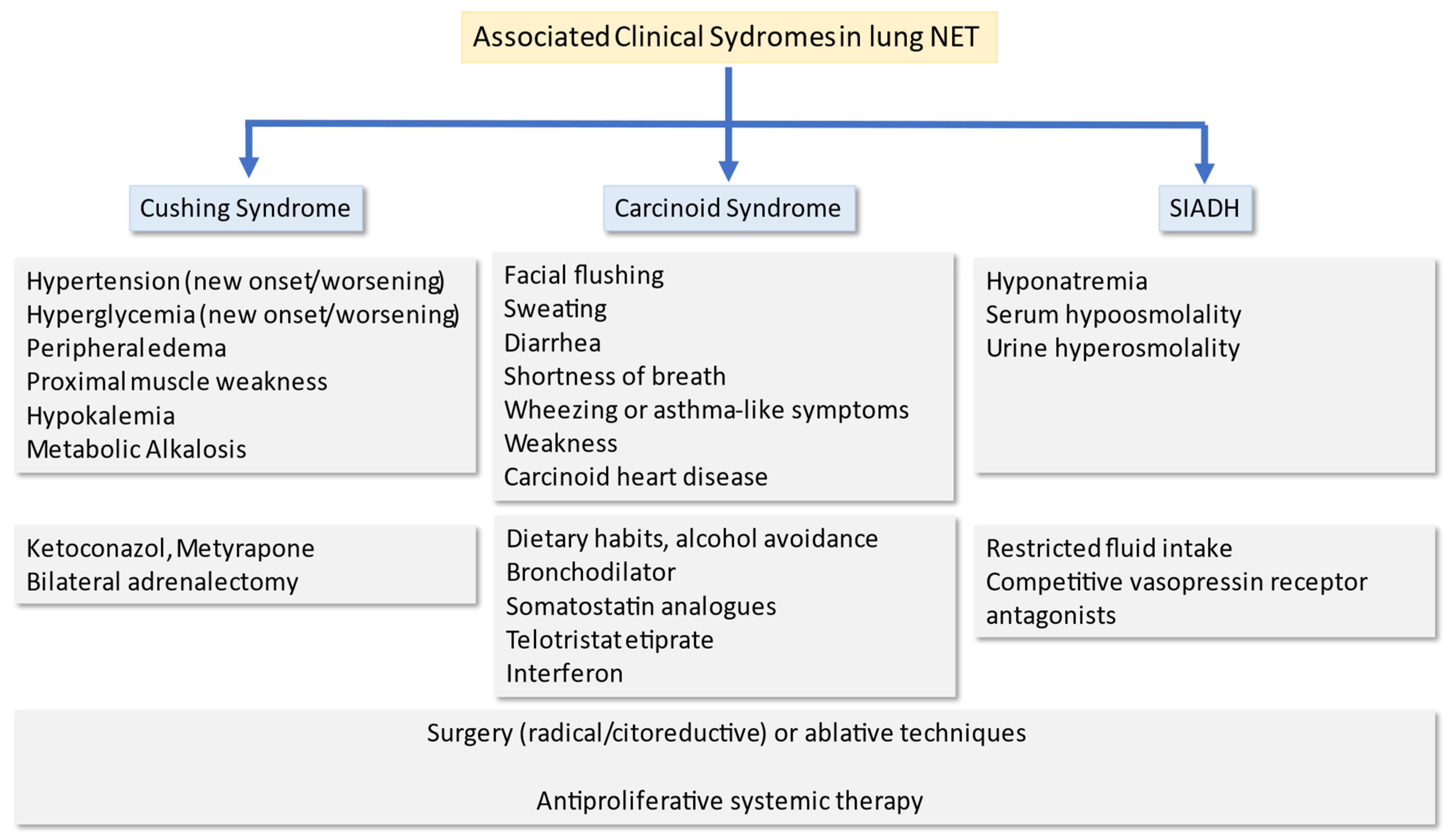 Cancers 14 00520 g003