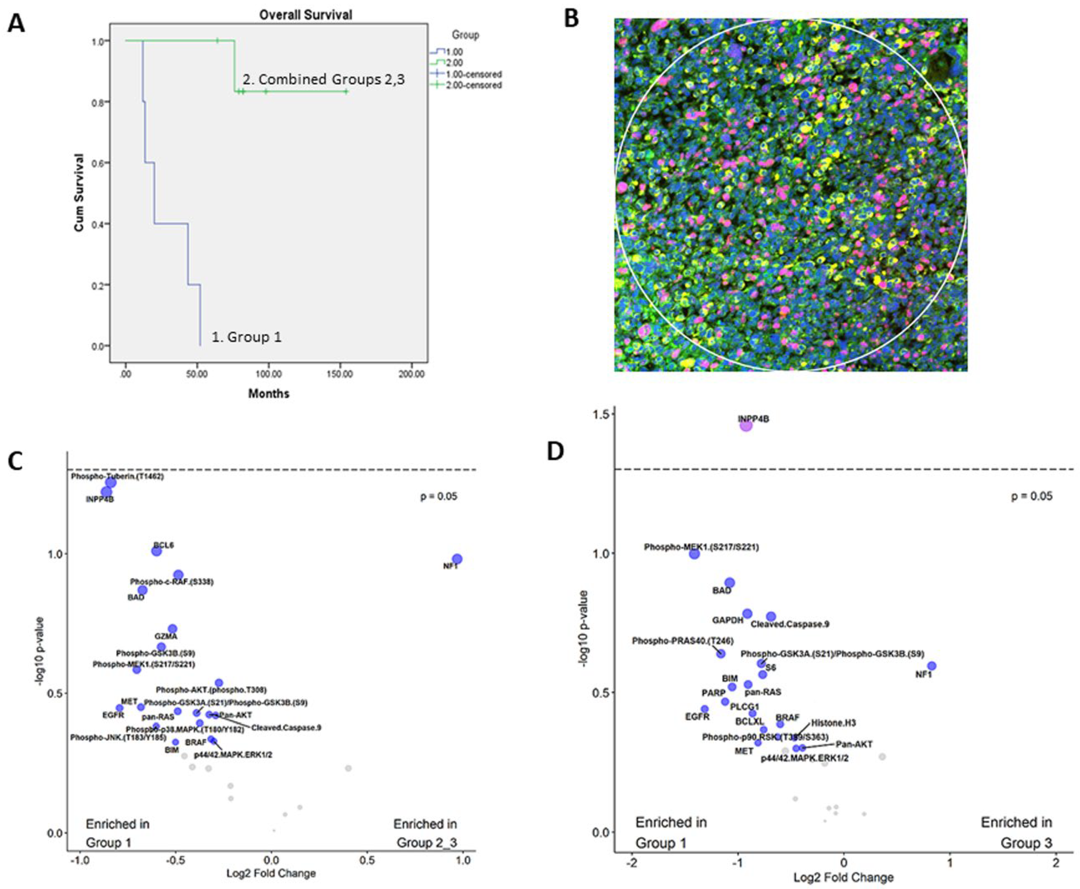 NanoString Digital Molecular Profiling of Protein and
