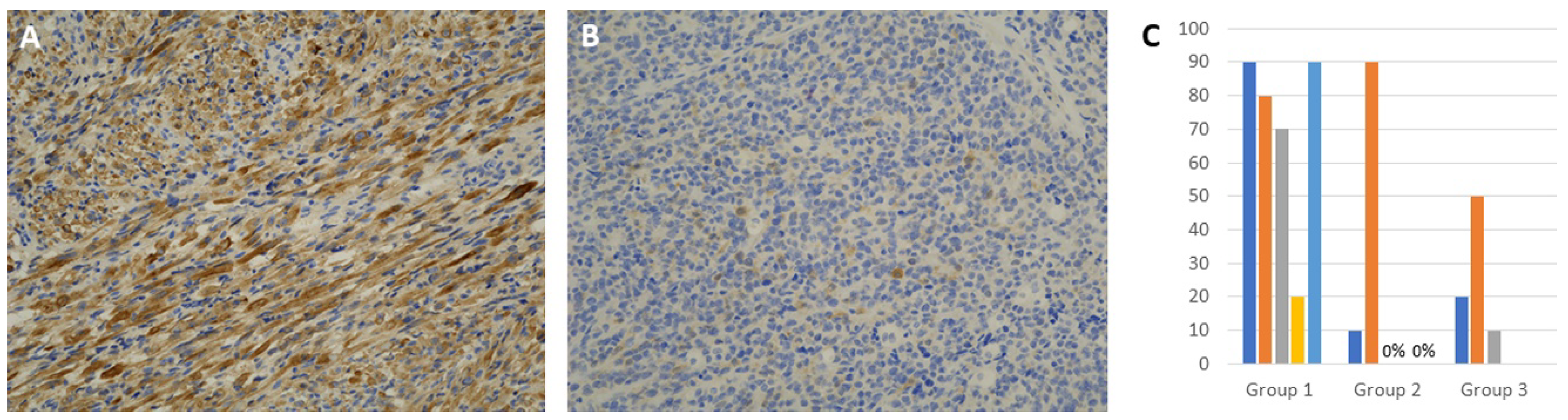 Cancers 14 00522 g002