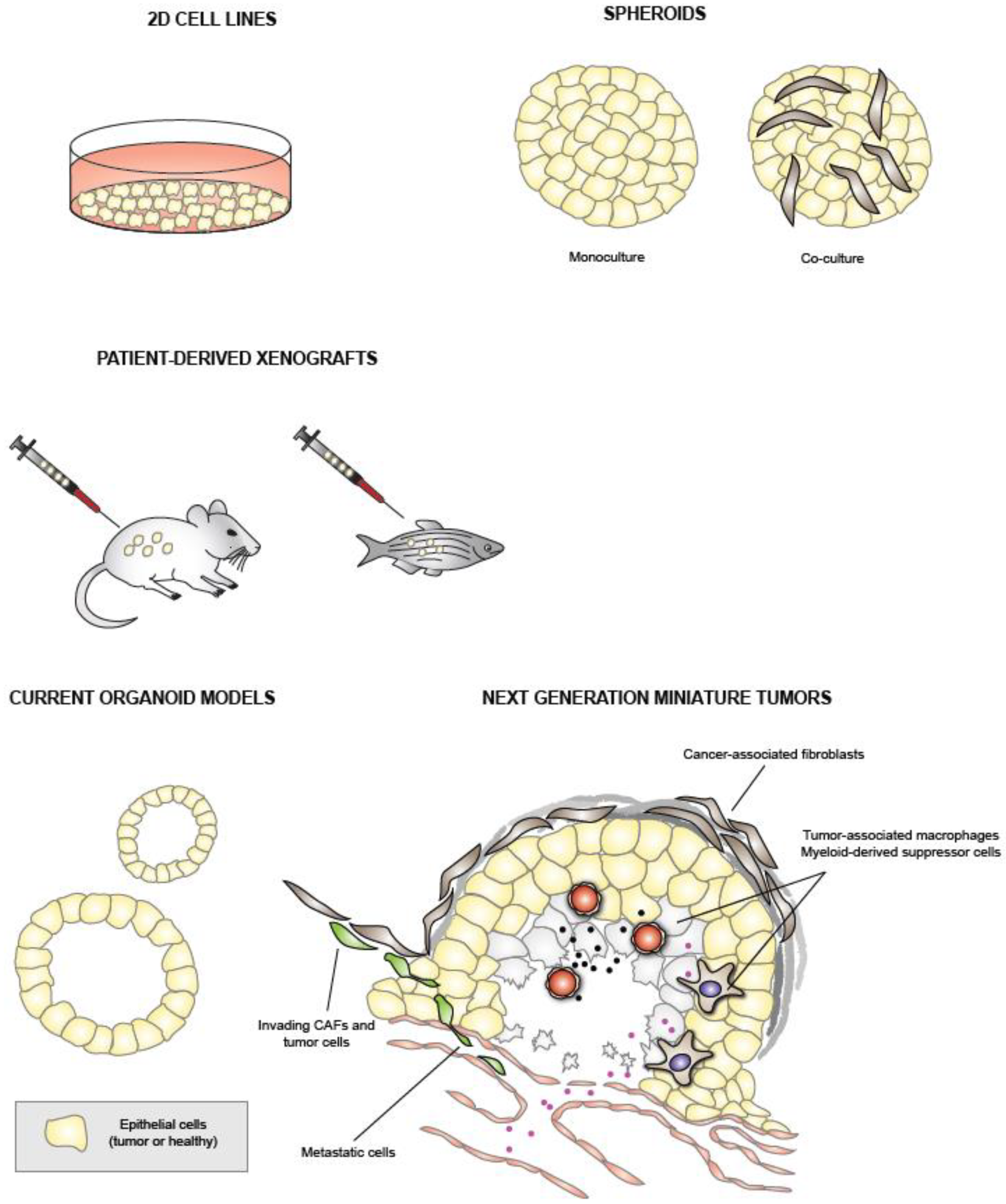 Cancers 14 00525 g001 550